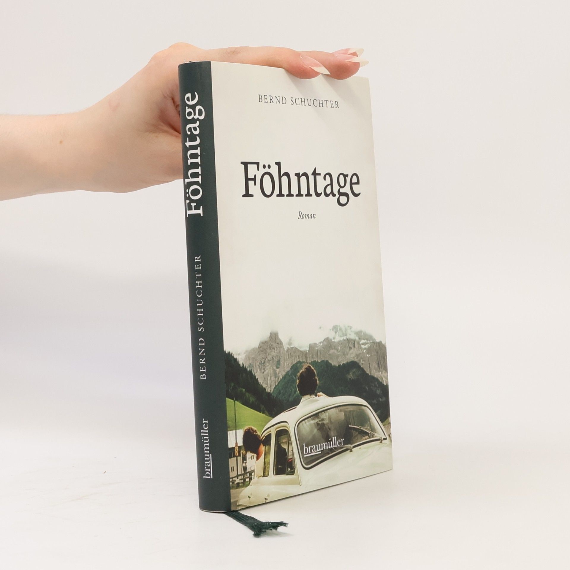 Föhntage : Roman