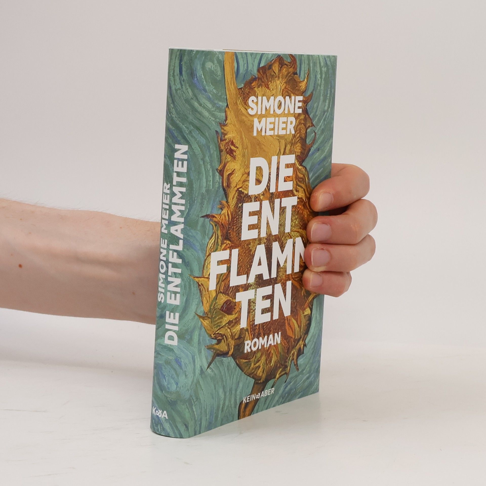 Simone Meier Die Entflammten