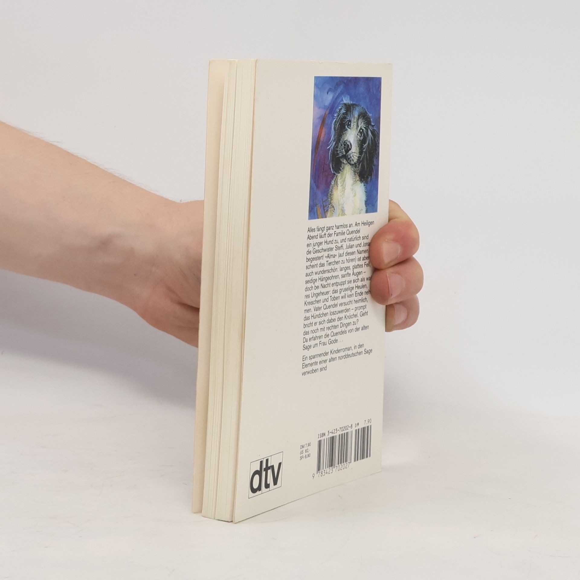 Katherine Allfrey Der Mitternachtshund