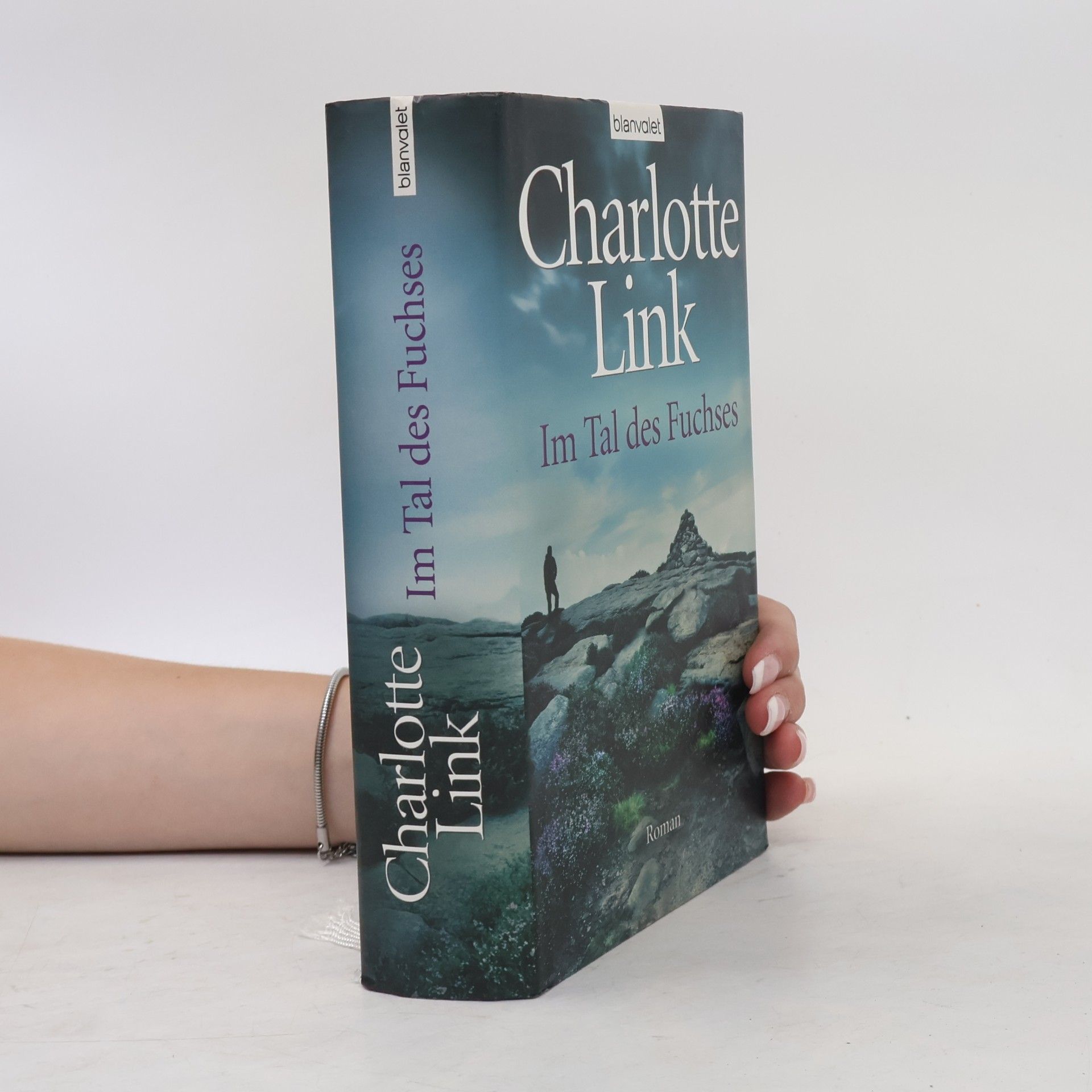 Charlotte Link Im Tal des Fuchses