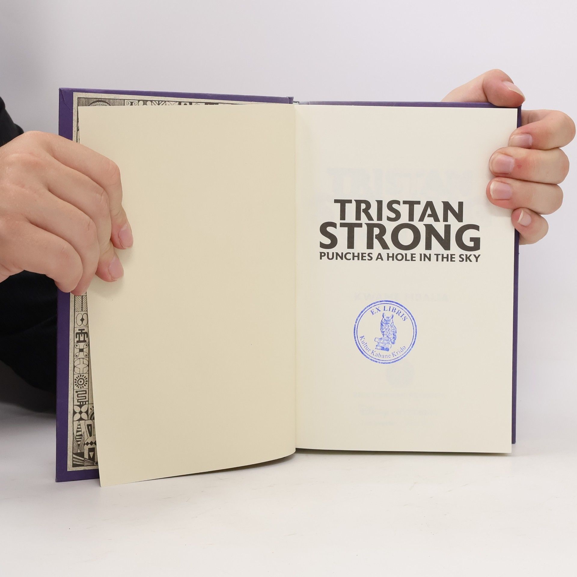 Various authors Tristan Strong Punches A Hole In The Sky