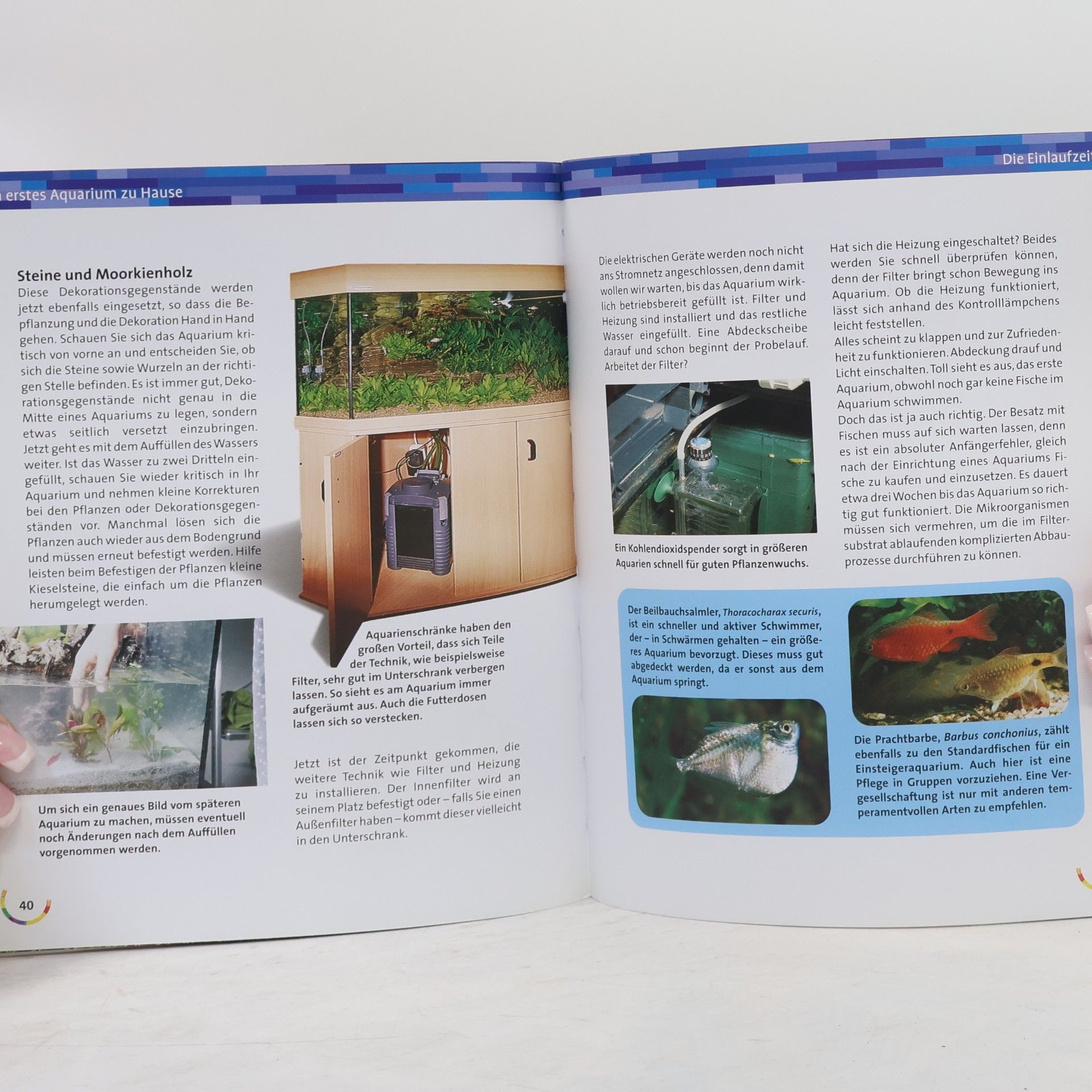 Bernd Degen Mein erstes Aquarium zu Hause