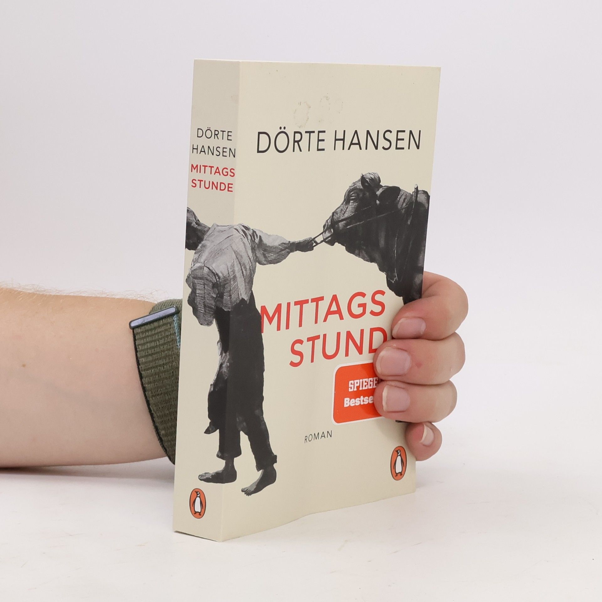 Dörte Hansen Mittagsstunde