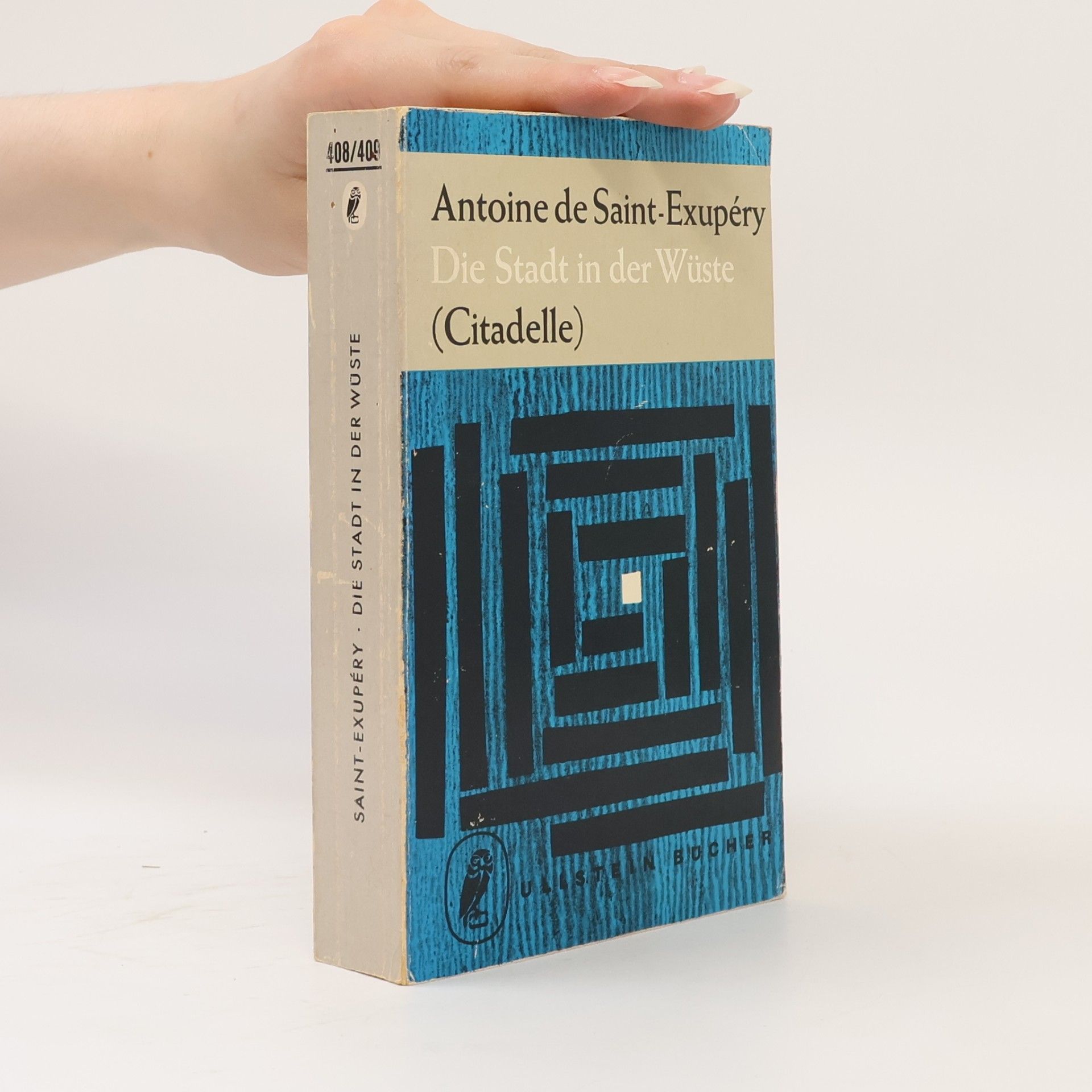 Antoine de Saint-Exupéry Die Stadt in der Wüste