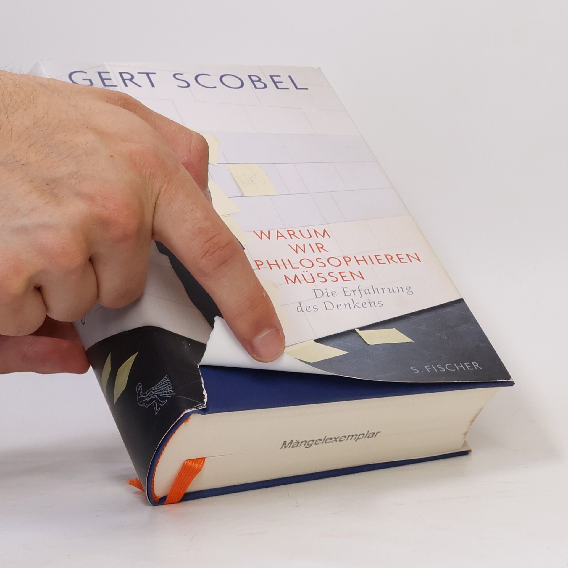 Gert Scobel Warum wir philosophieren müssen