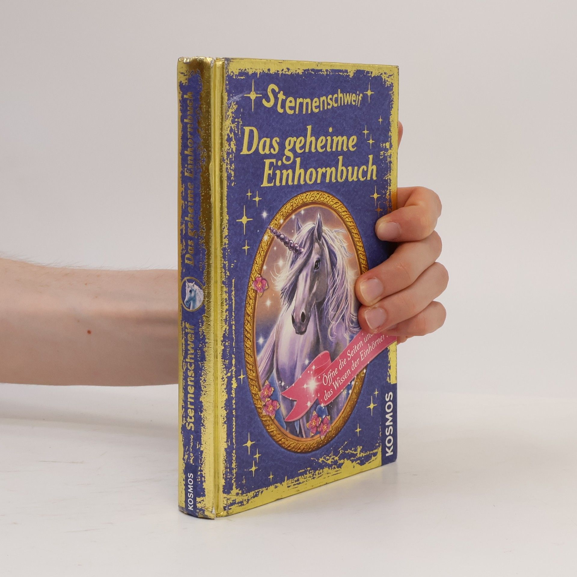 Anne Scheller Sternenschweif - das geheime Einhornbuch