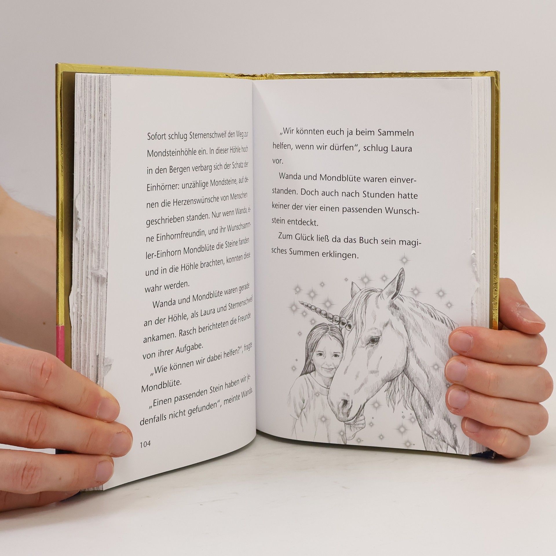 Anne Scheller Sternenschweif - das geheime Einhornbuch