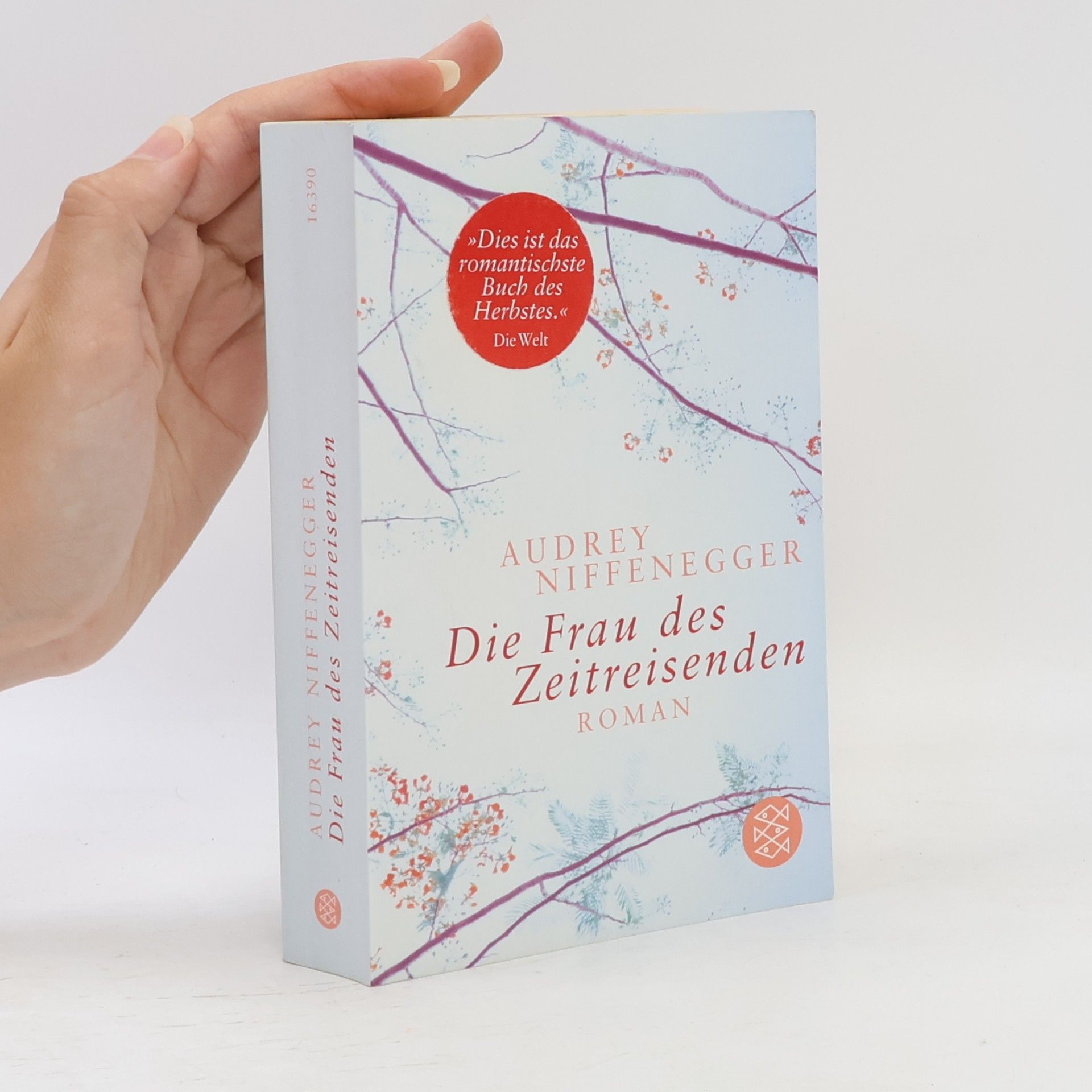 Audrey Niffenegger Die Frau des Zeitreisenden