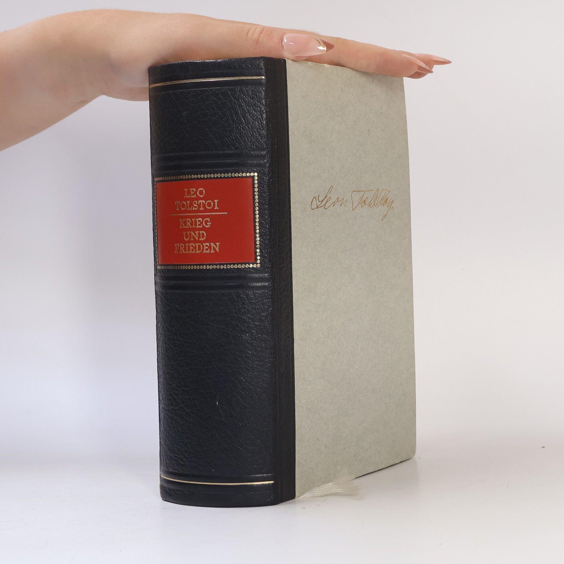 Léon Tolstoï Krieg und Frieden