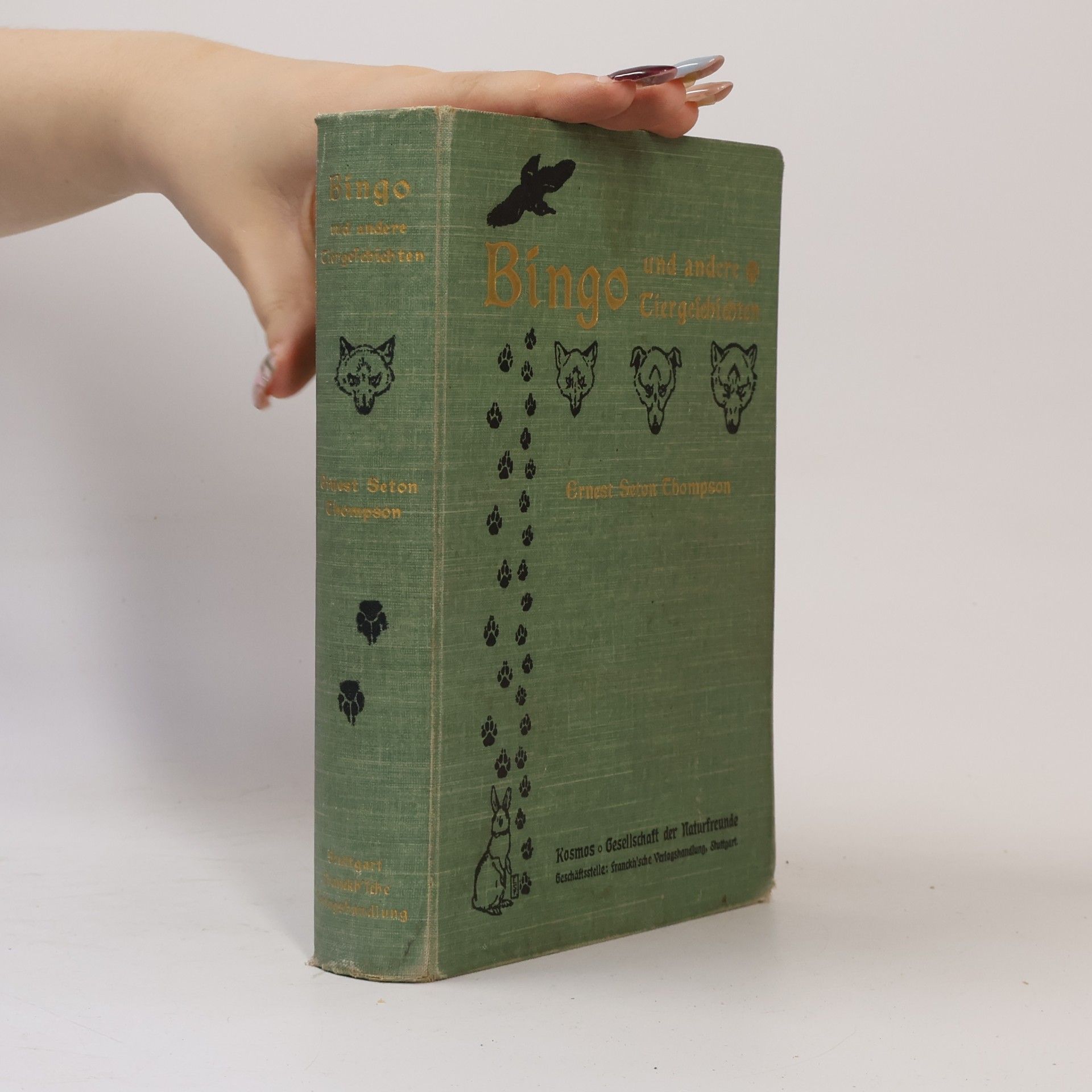 Ernest Thompson Seton Bingo und andere Tiergeschichten