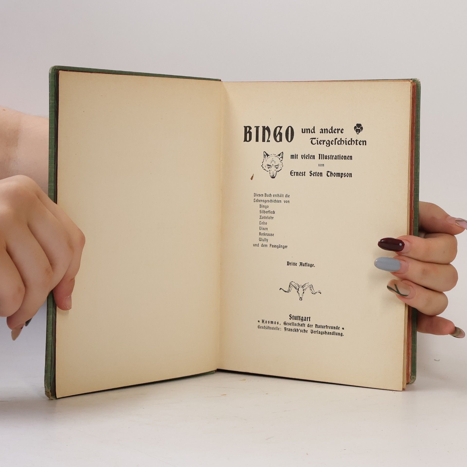 Ernest Thompson Seton Bingo und andere Tiergeschichten