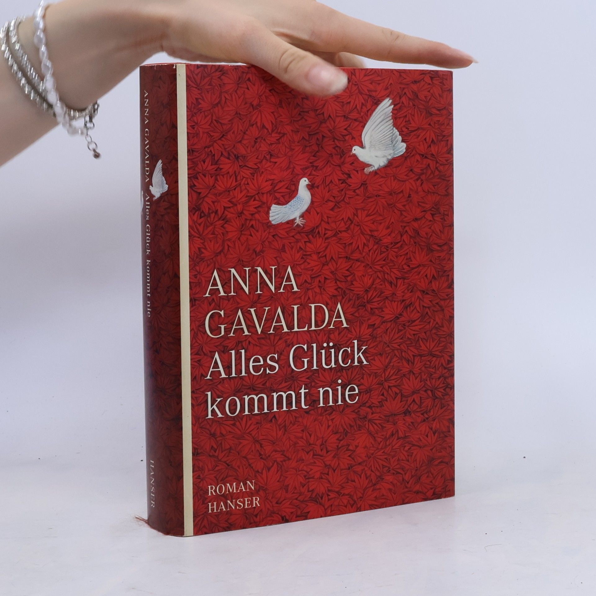 Anna Gavalda Alles Glück kommt nie