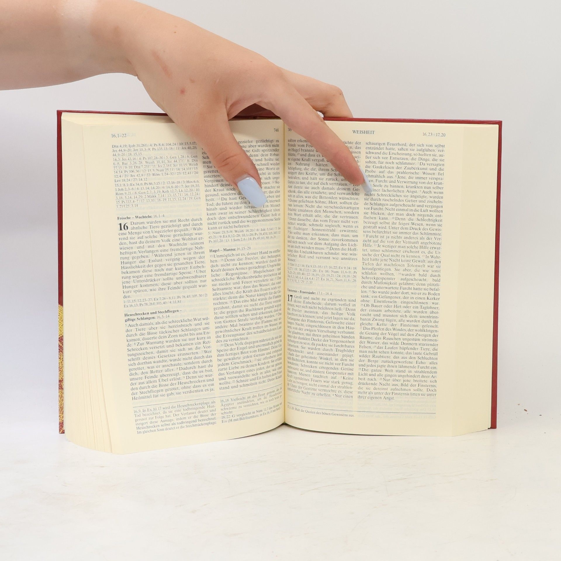 Kolektiv autorů Die Bibel