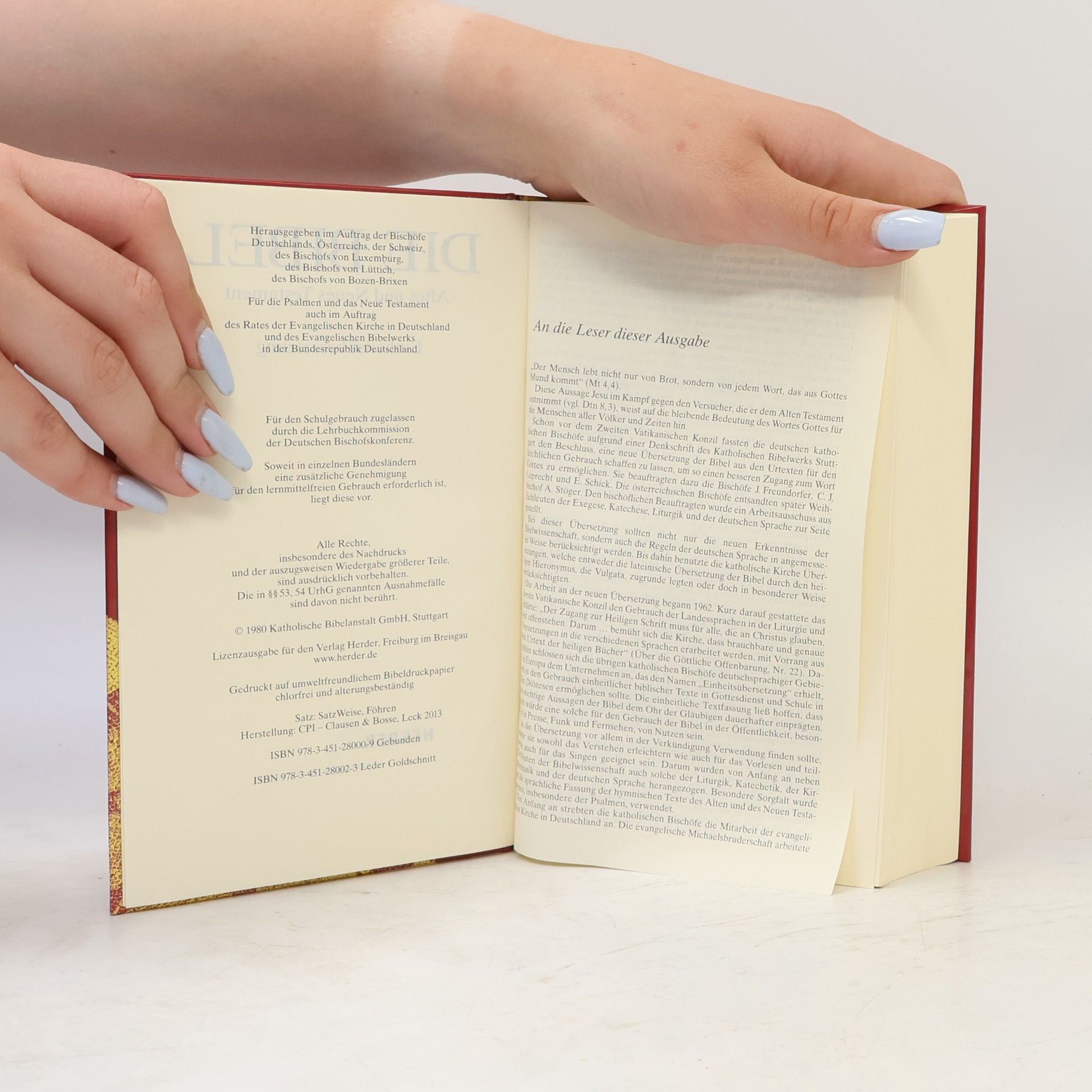 Kolektiv autorů Die Bibel
