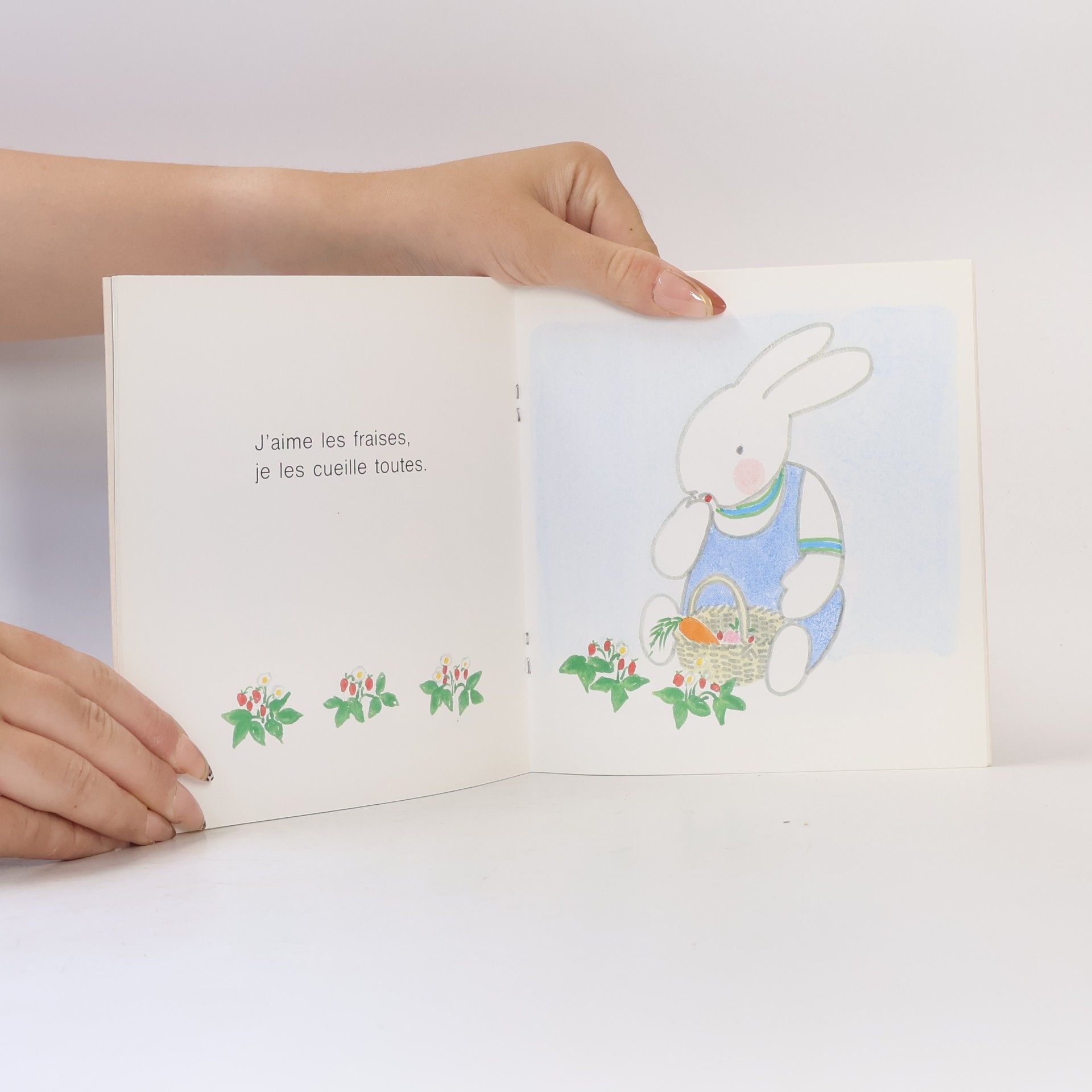 Marie Wabbes Le jardin de Petit Lapin
