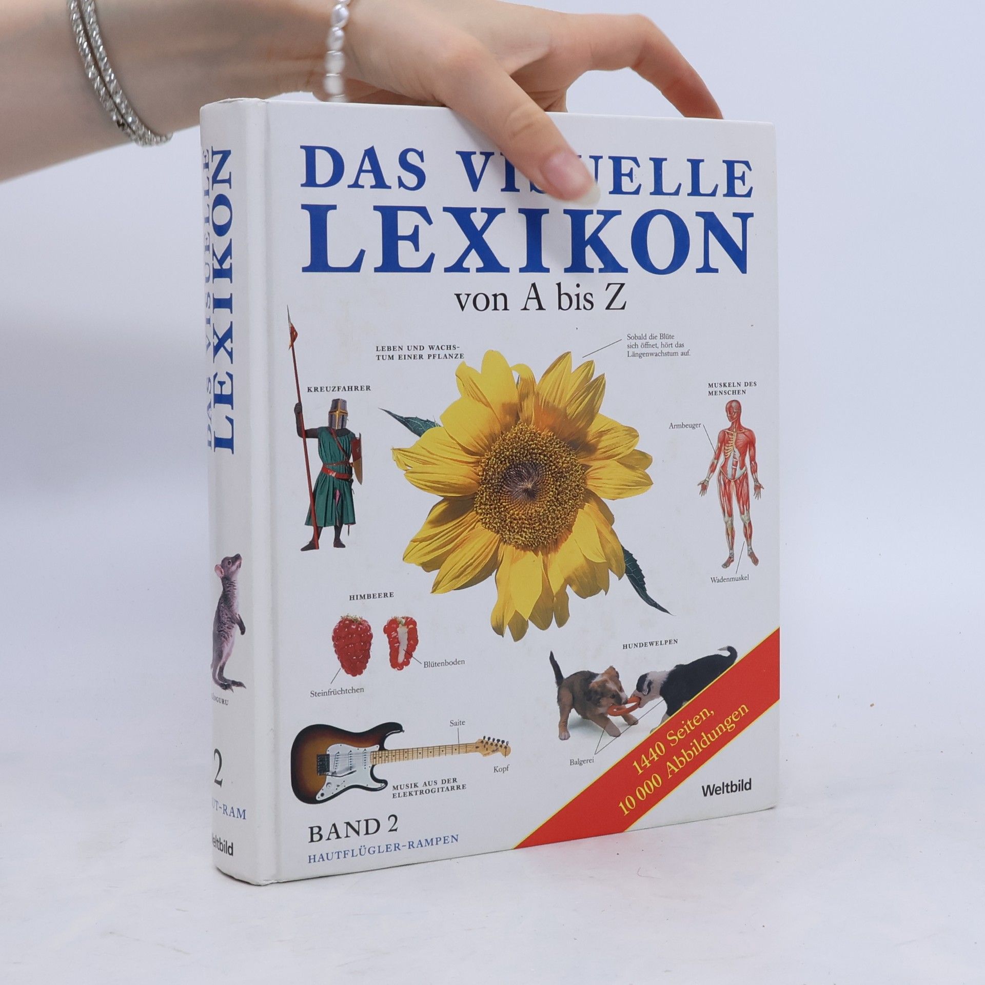 Kolektív autorov Das visuelle Lexikon von A bis Z. Band 2