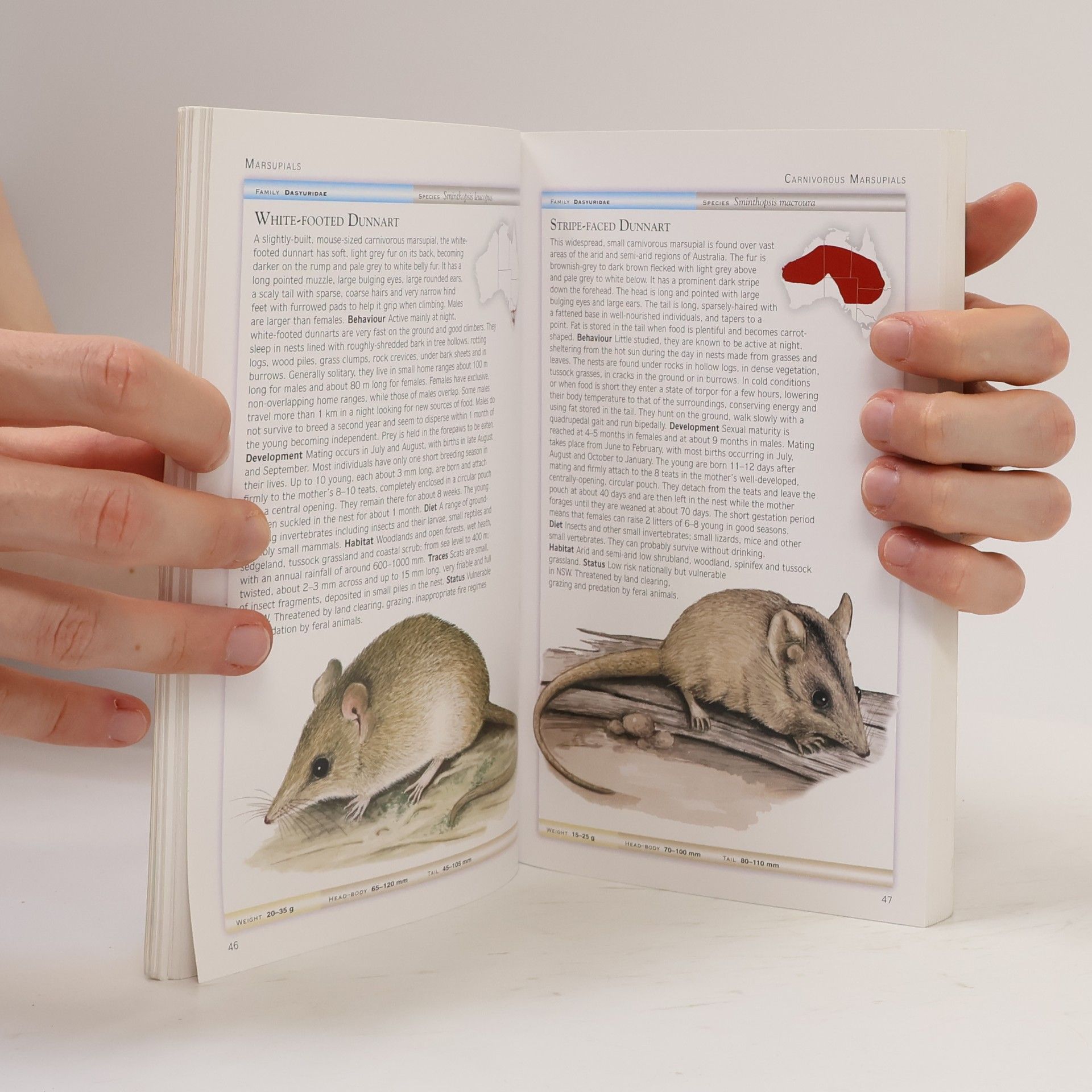 Leonard Cronin Australian Mammals