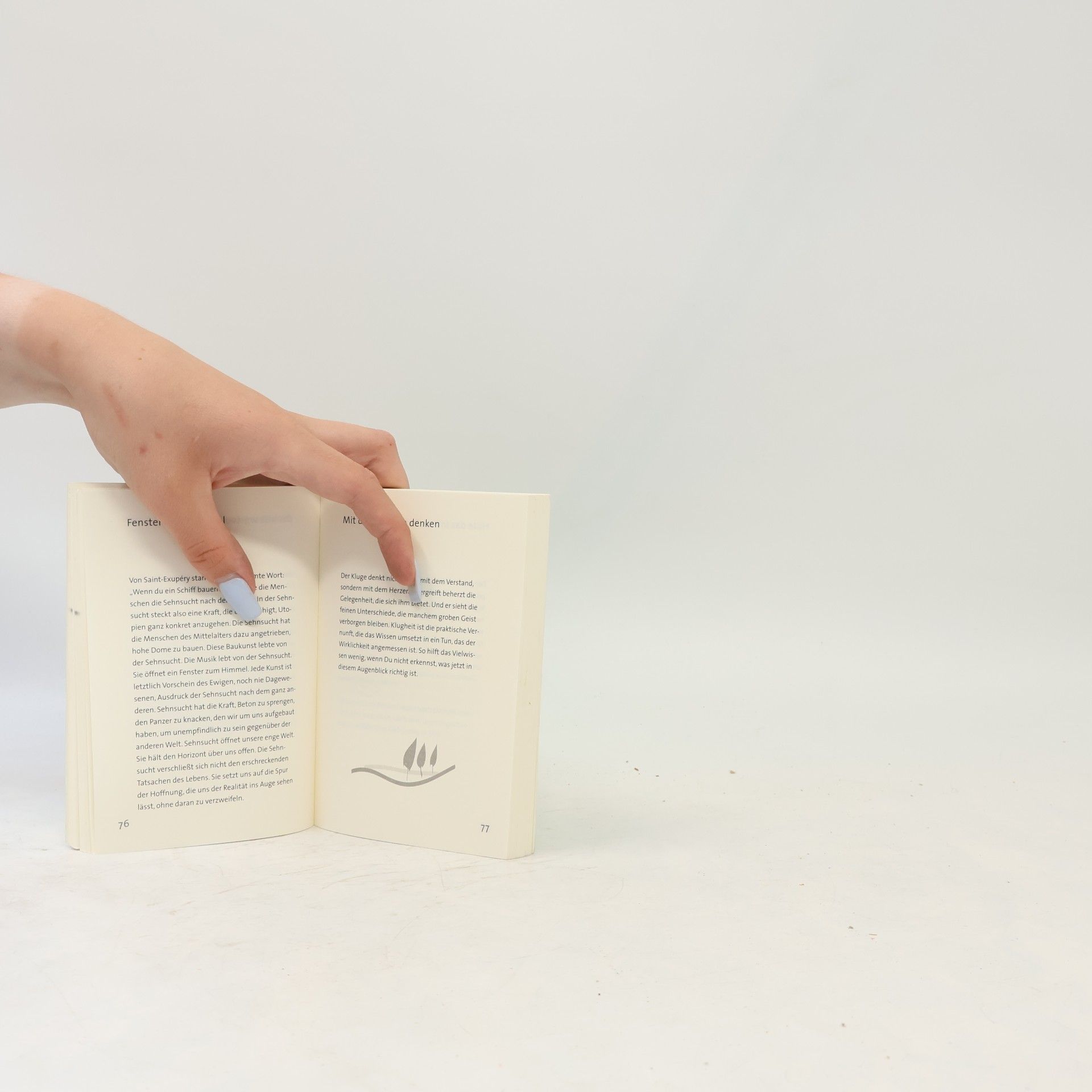 Anselm Grün Das kleine Buch vom wahren Glück