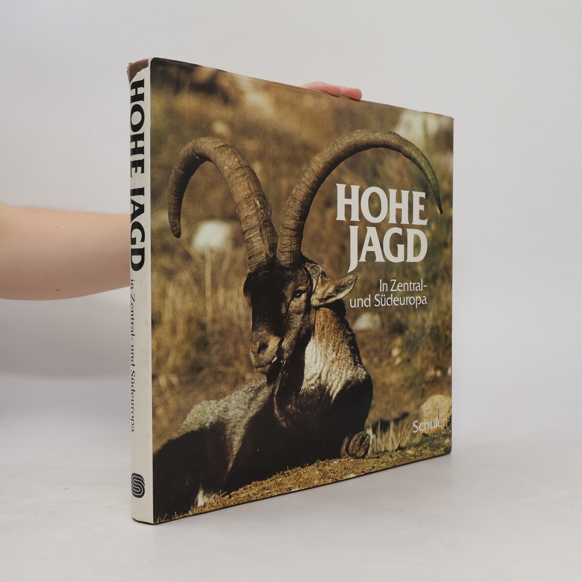 Antonio Días de los Reyes Hohe Jagd in Zentral- und Südeuropa