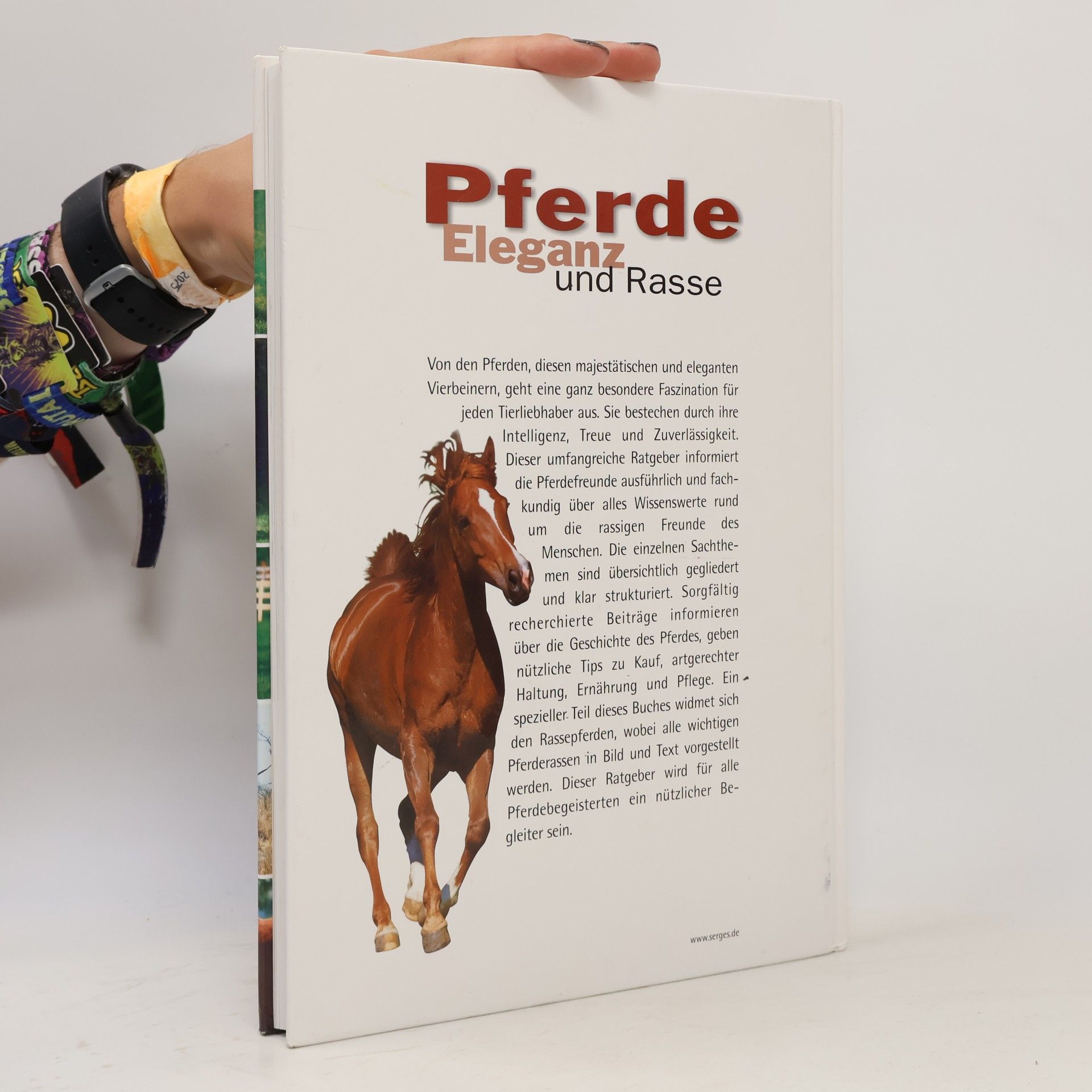 Autorenkollektiv Pferde. Eleganz und Rasse