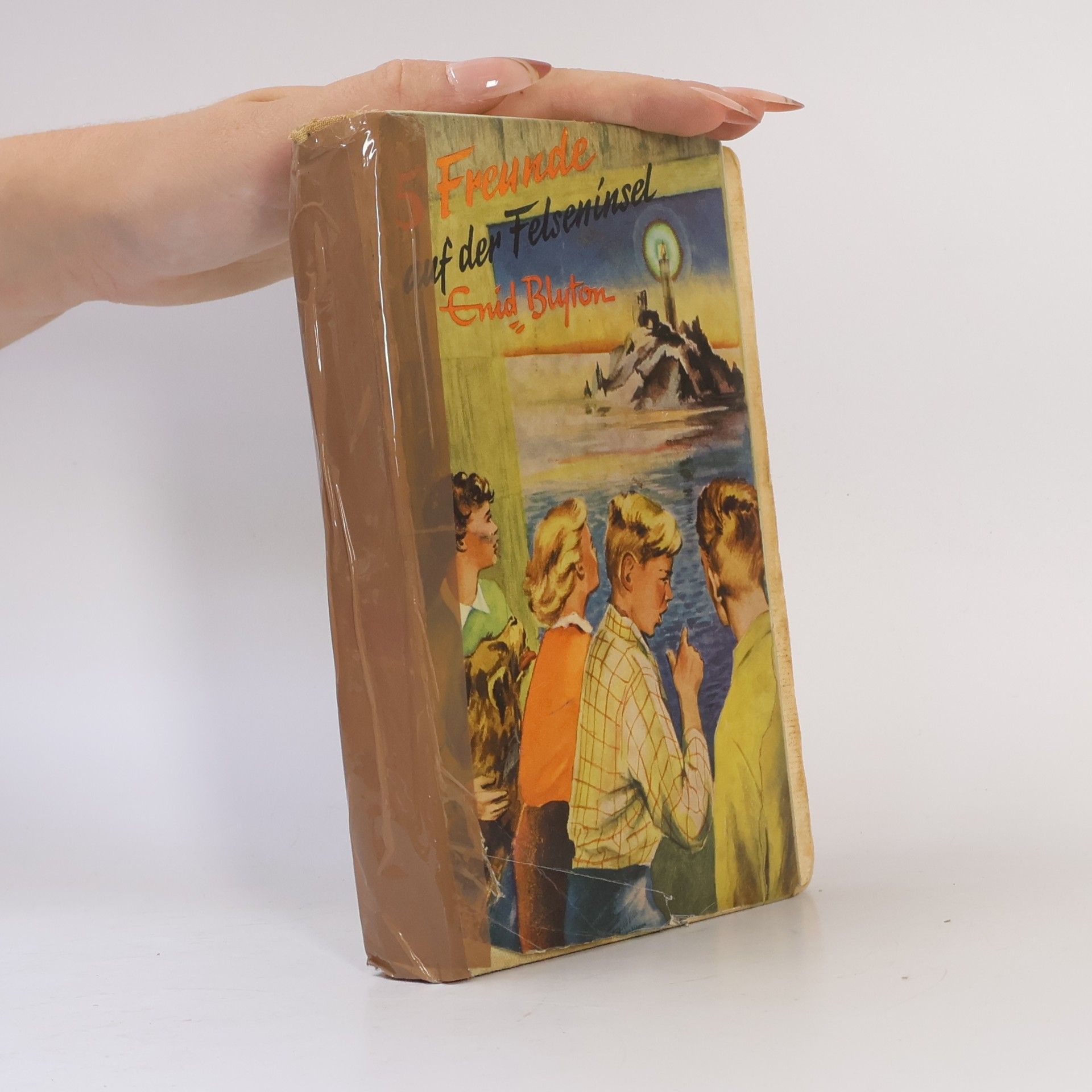 Enid Blyton 5 Freunde auf der Felseninsel
