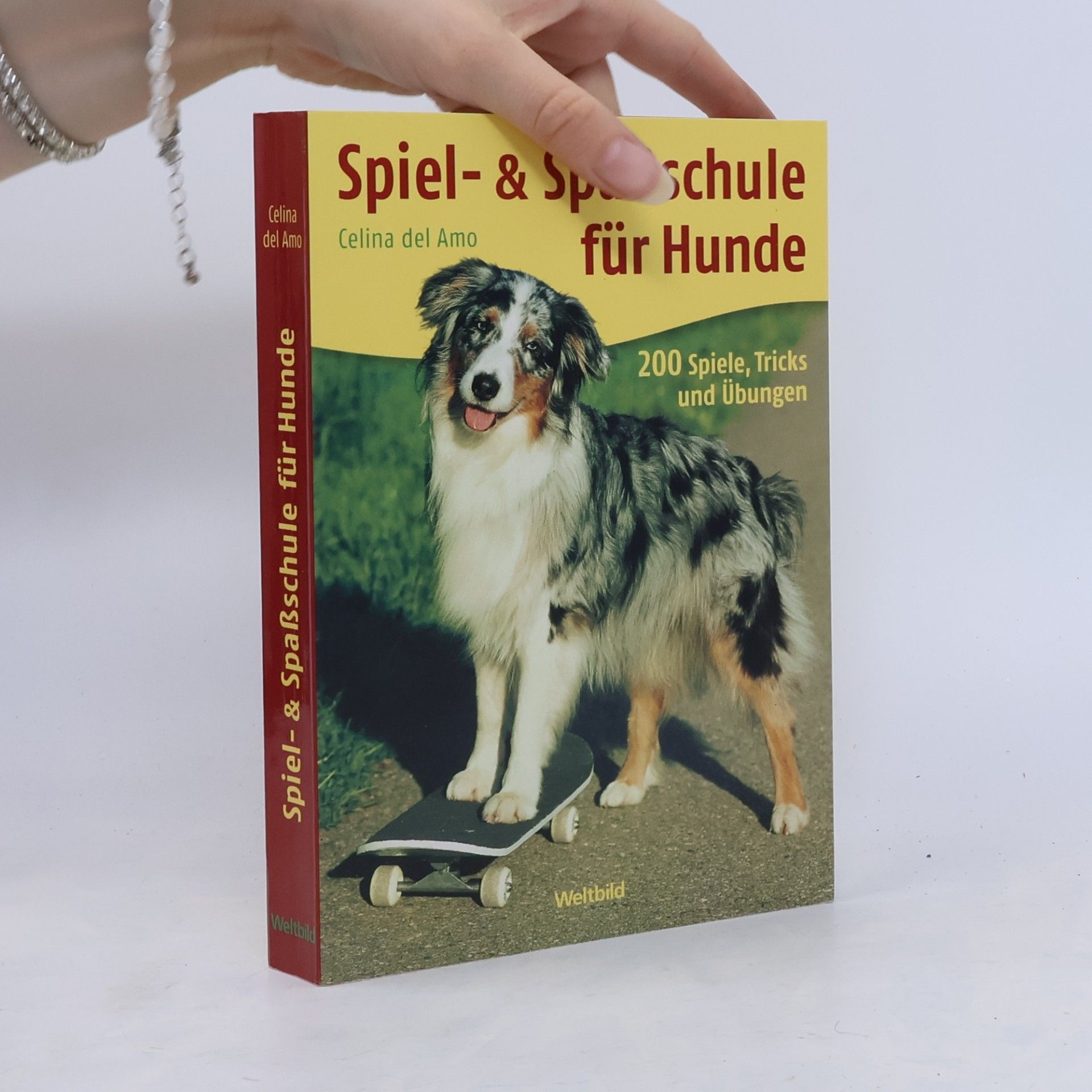 Celina Del Amo Spiel- & Spaßschule für Hunde