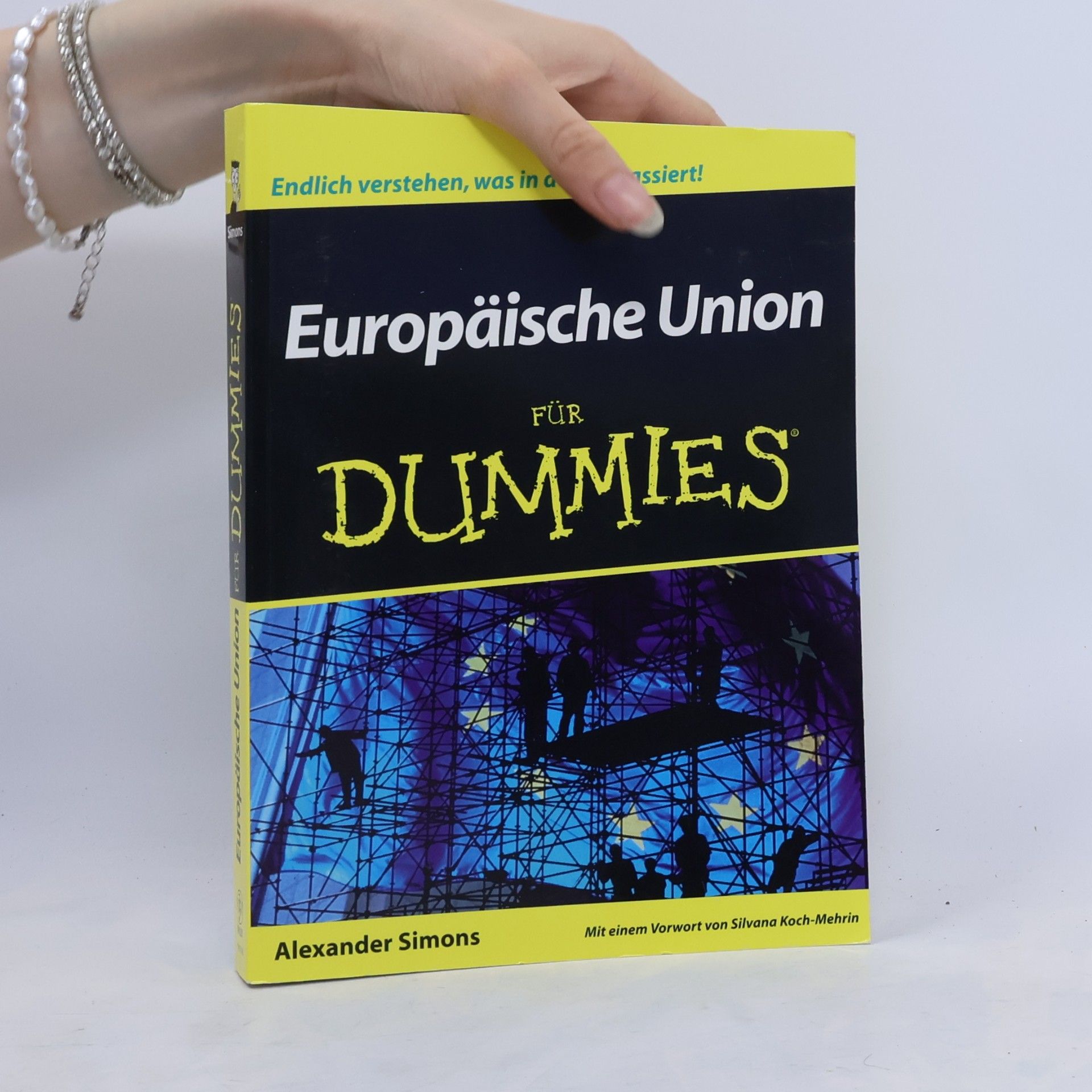 Sander Simons Europäische Union für Dummies