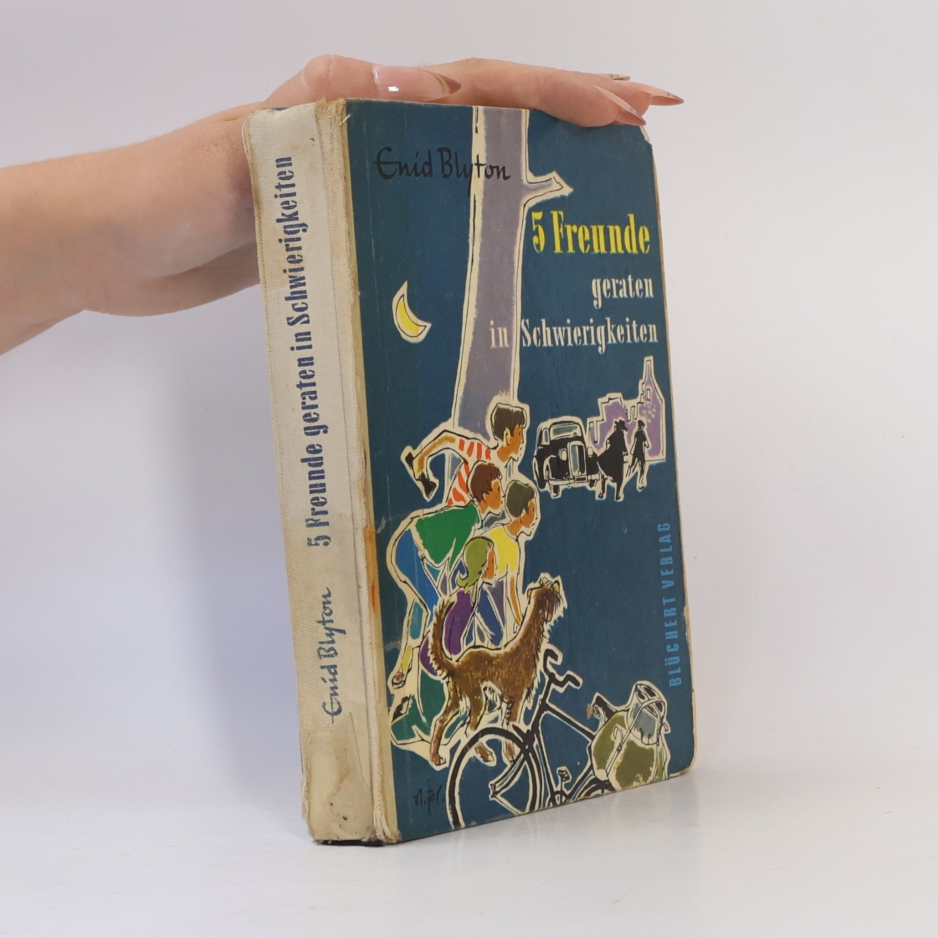 Enid Blyton 5 Freunde geraten in Schwierigkeiten