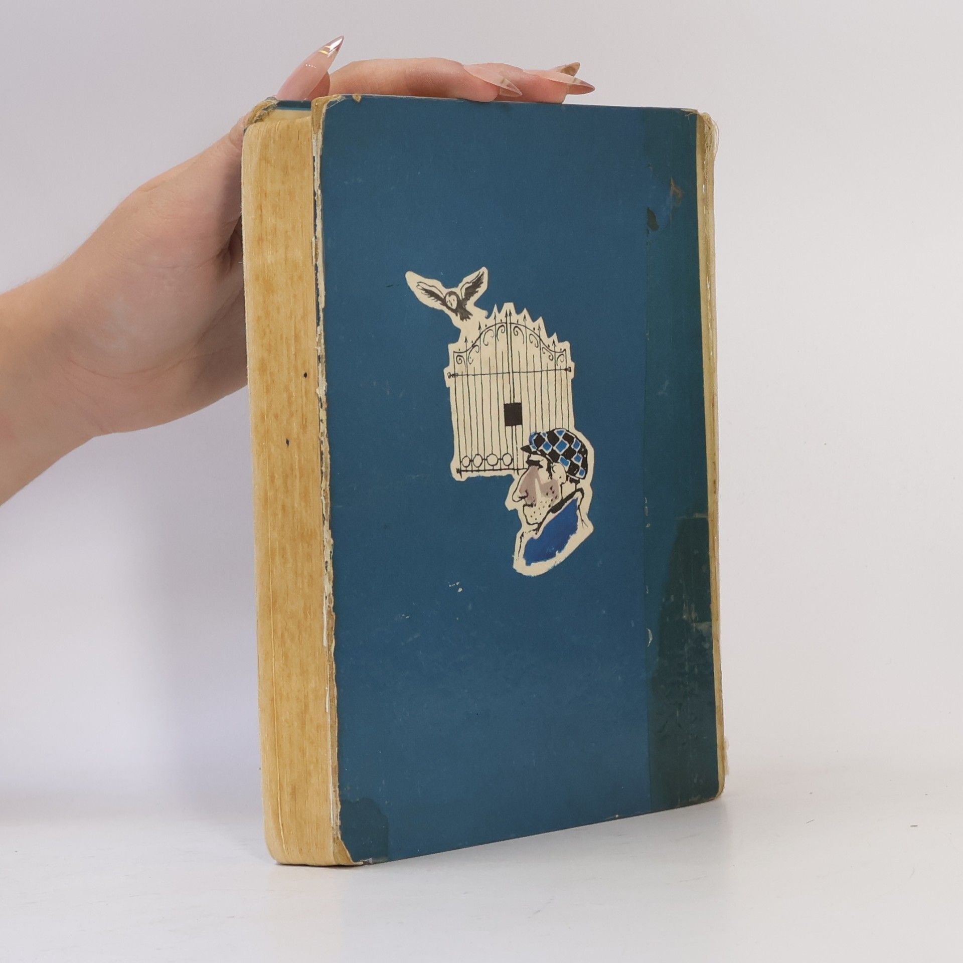 Enid Blyton 5 Freunde geraten in Schwierigkeiten