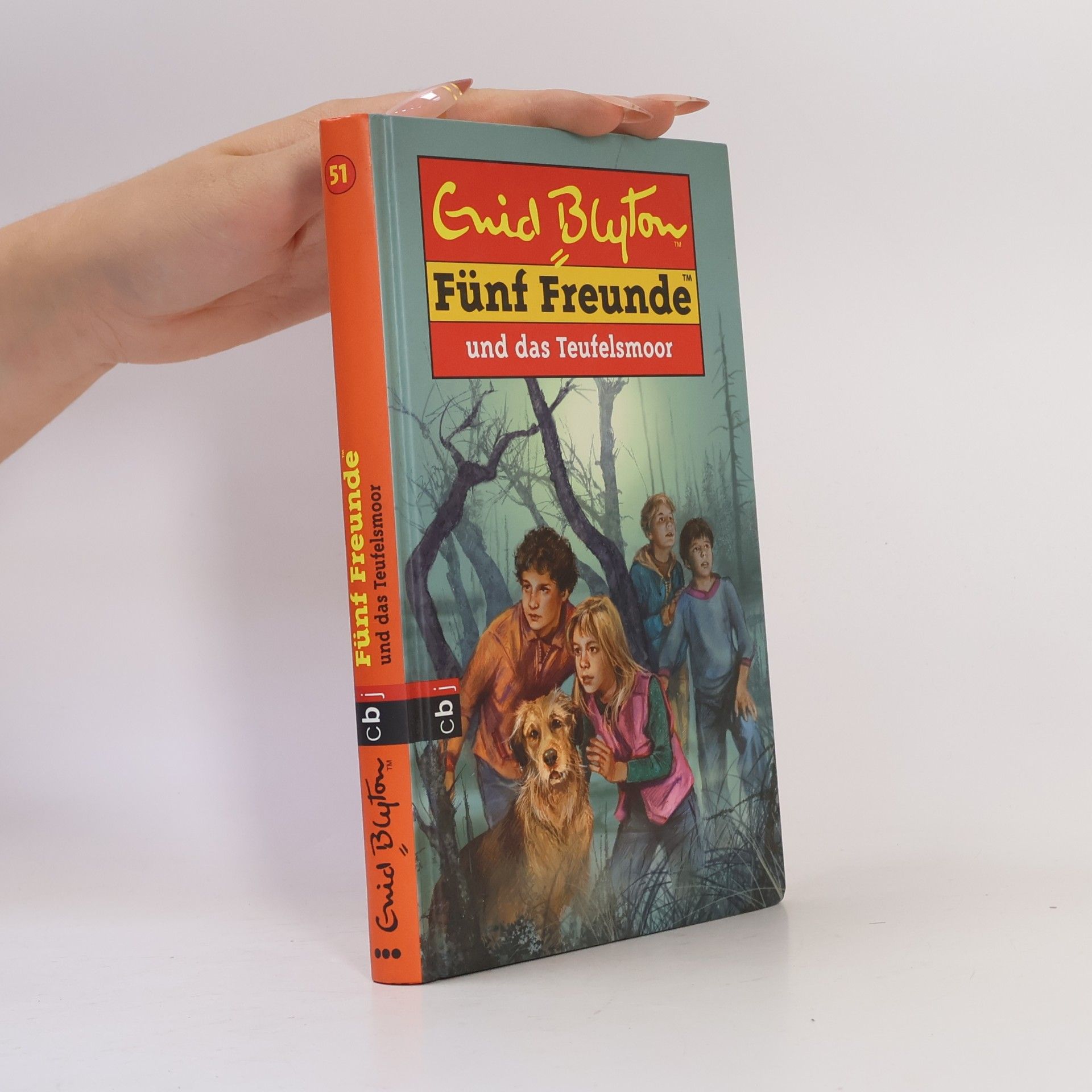Sarah Bosse Fünf Freunde und das Teufelsmoor
