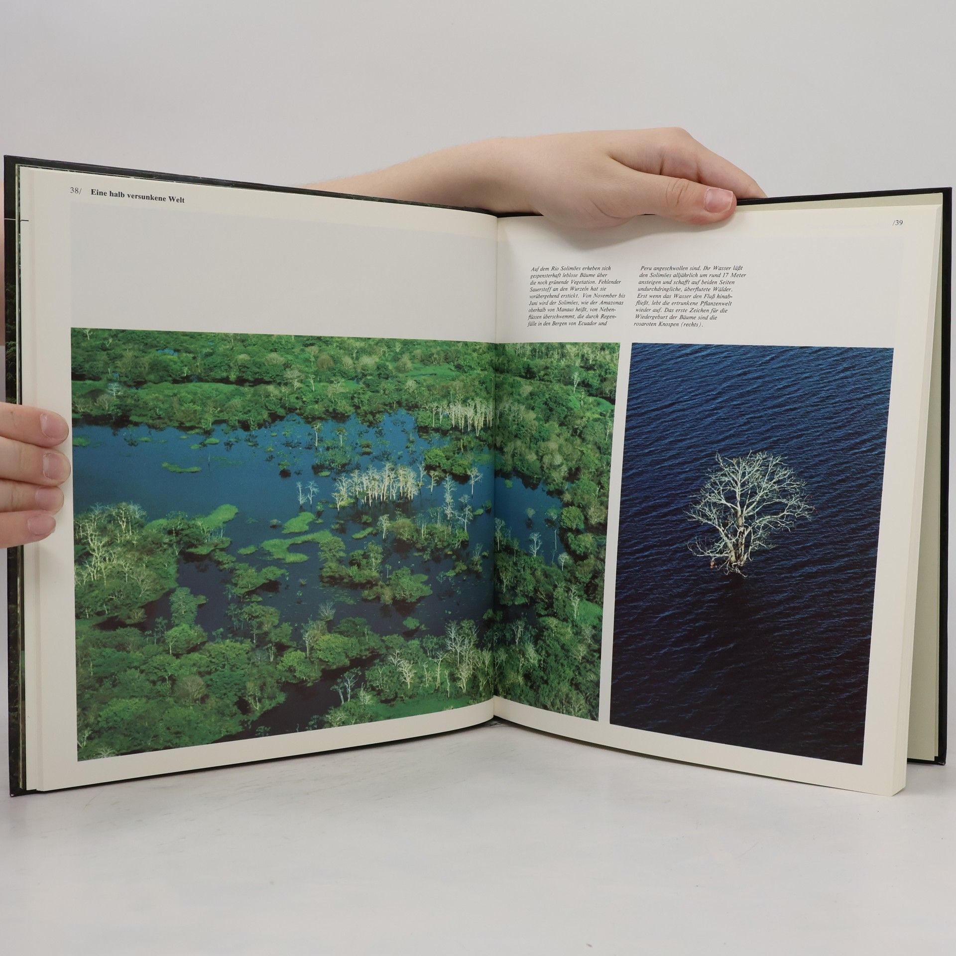 Tom Sterling Der Amazonas