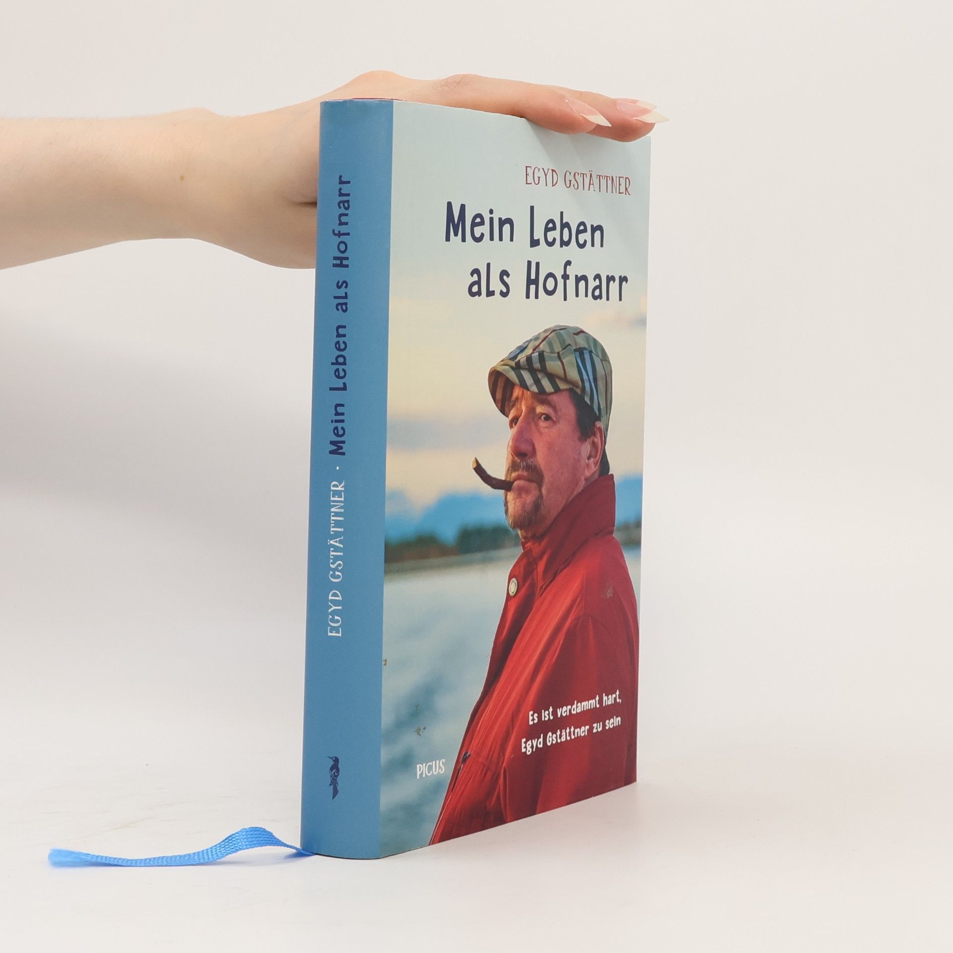 Egyd Gstättner Mein Leben als Hofnarr