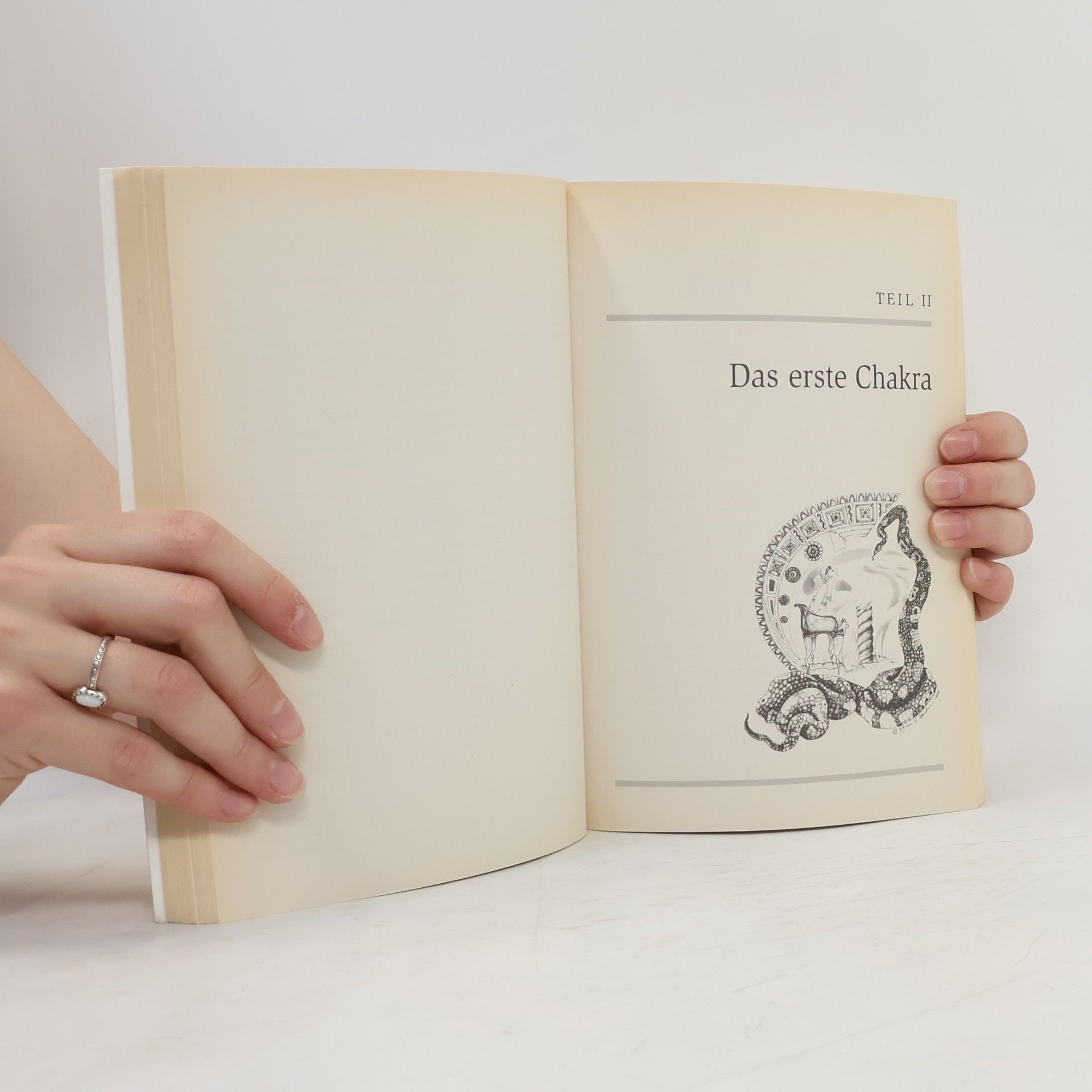 Rosalyn L. Bruyere Das Geheimnis der Chakras