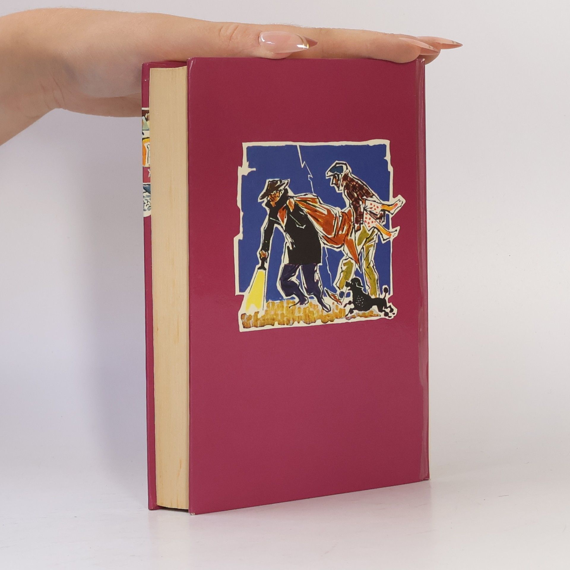 Enid Blyton 5 Freunde jagen die Entführer