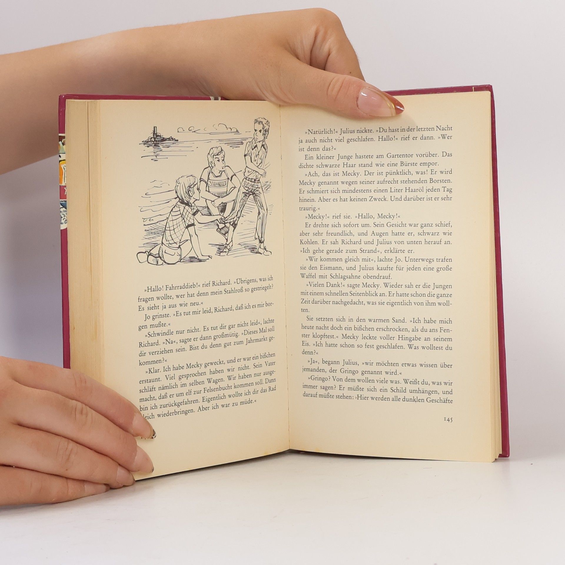 Enid Blyton 5 Freunde jagen die Entführer