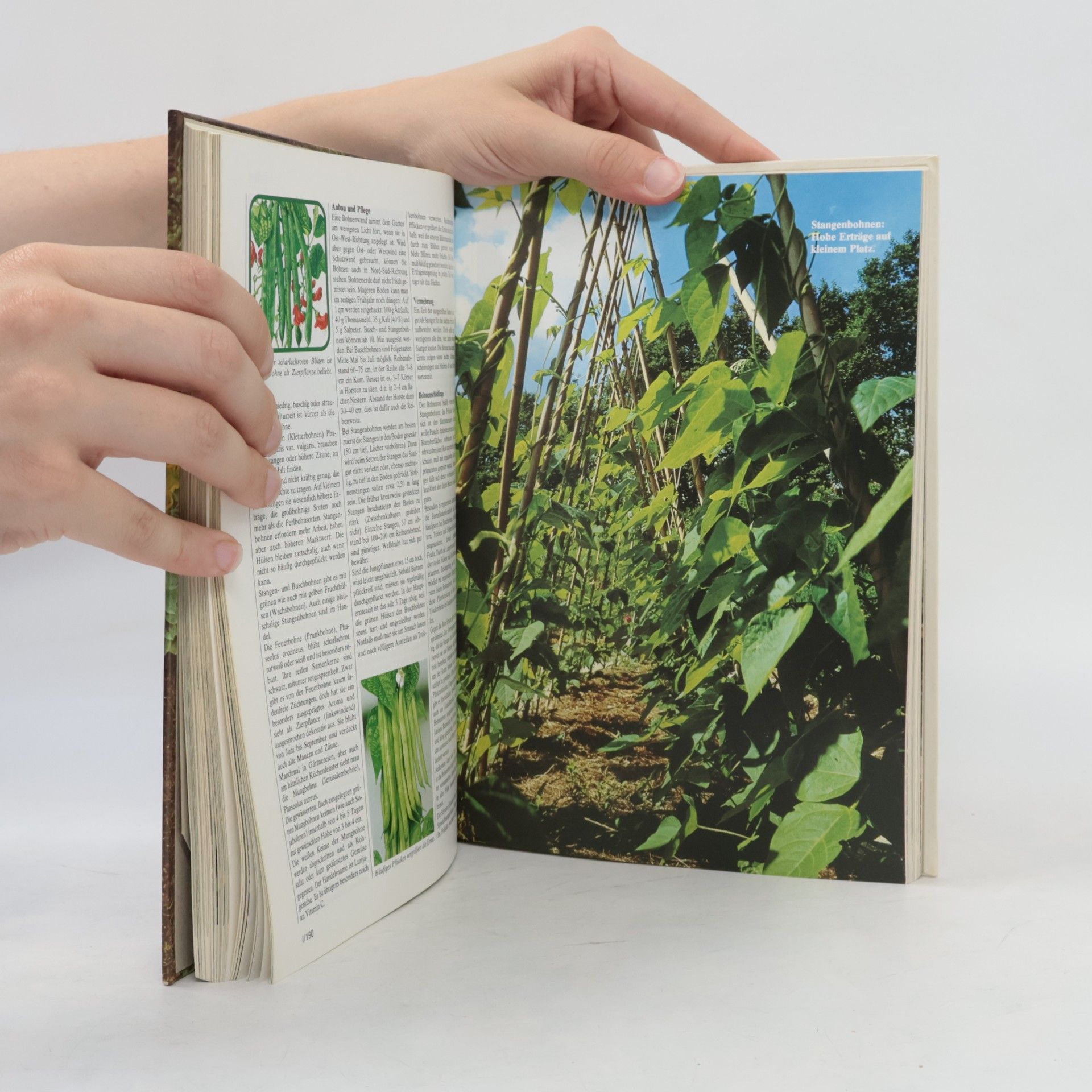 Various authors Blumen & Garten 1. Das praktische Pflanzen-ABC
