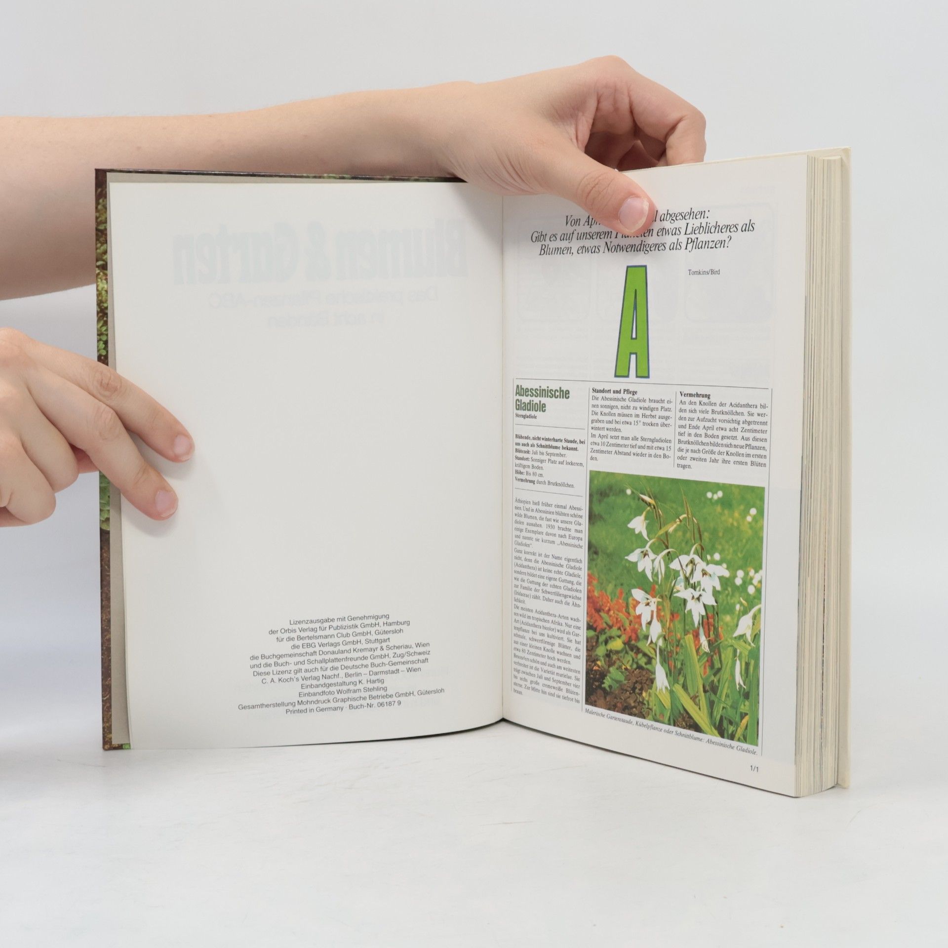 Various authors Blumen & Garten 1. Das praktische Pflanzen-ABC