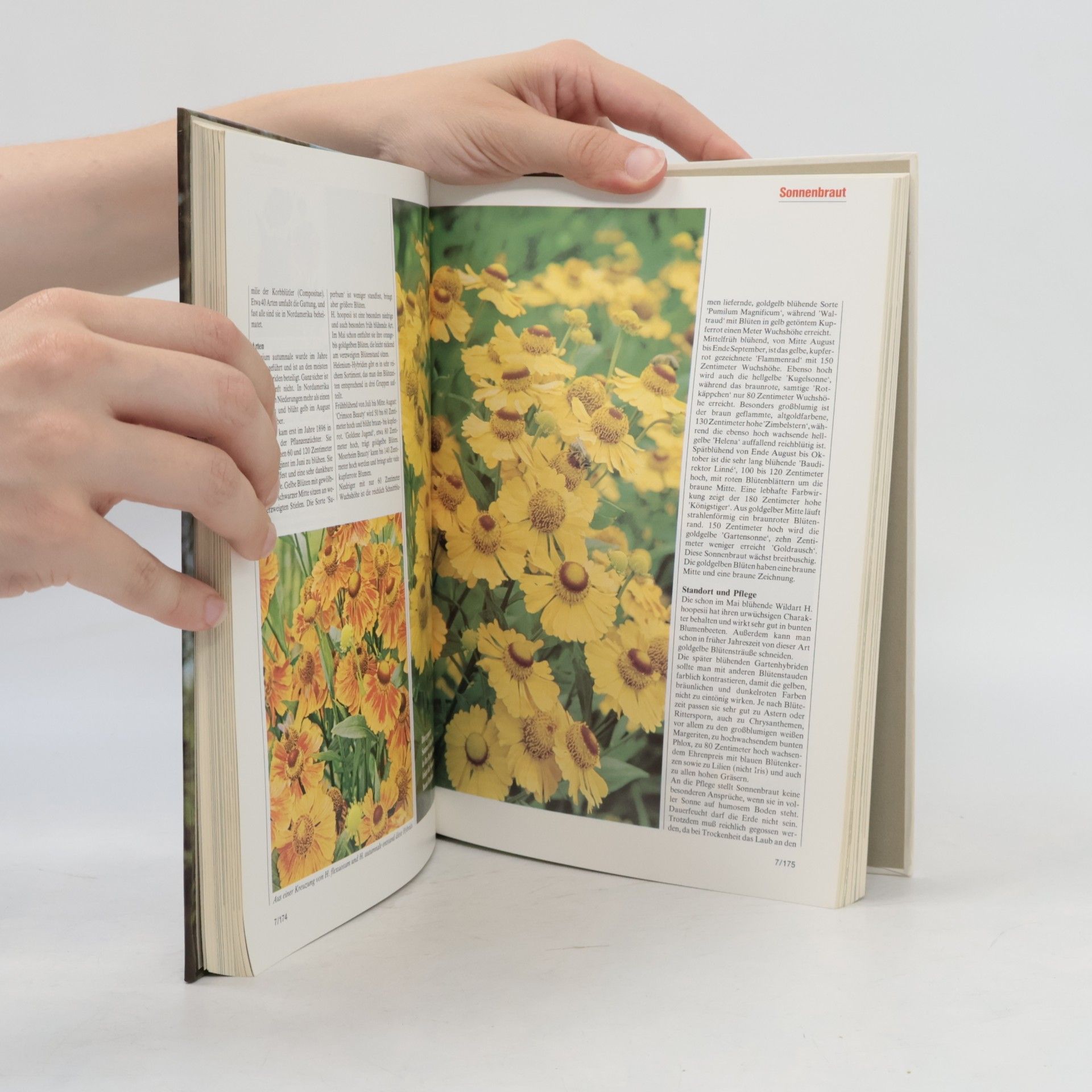 Collectif d'auteurs Blumen & Garten 7. Das praktische Pflanzen-ABC