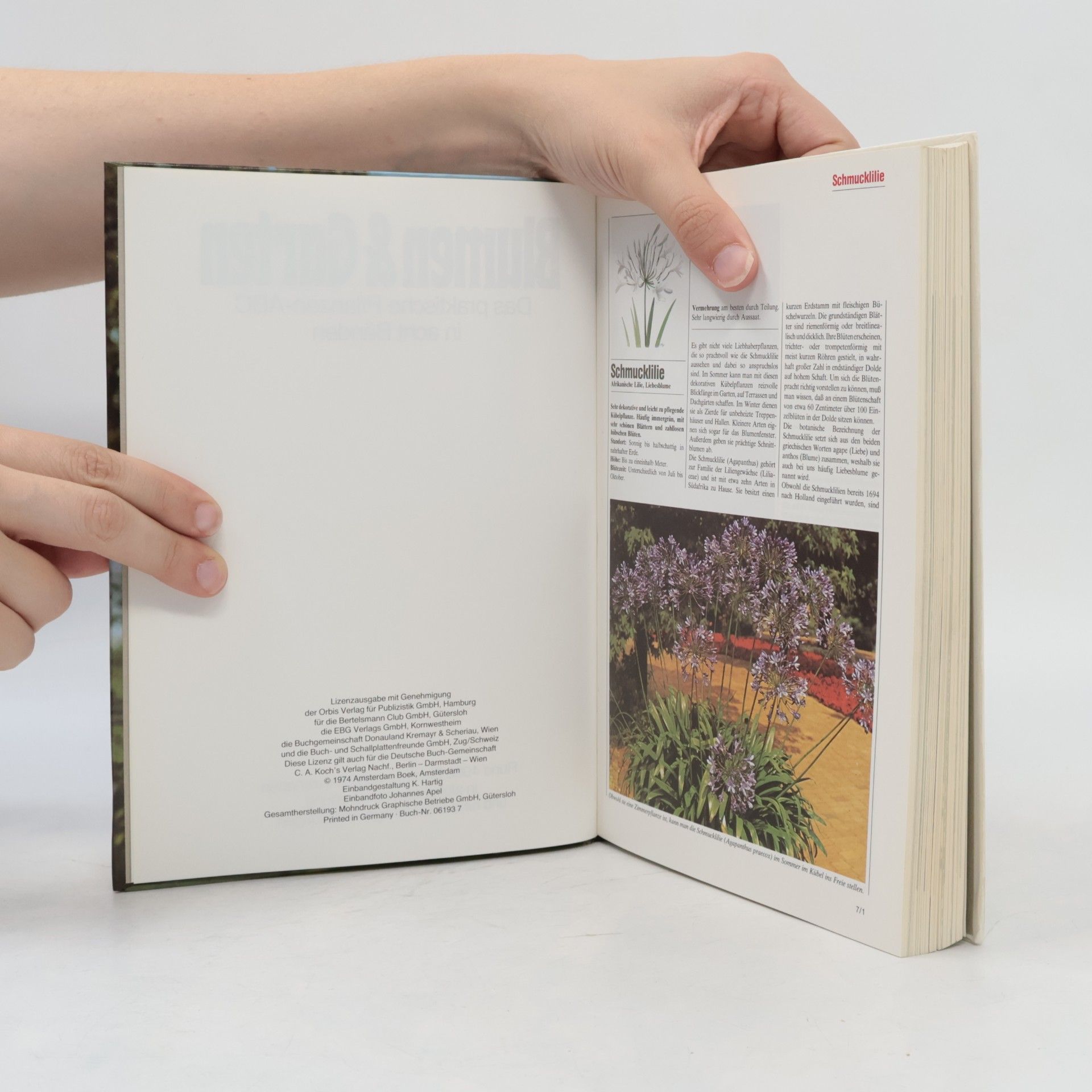 Collectif d'auteurs Blumen & Garten 7. Das praktische Pflanzen-ABC