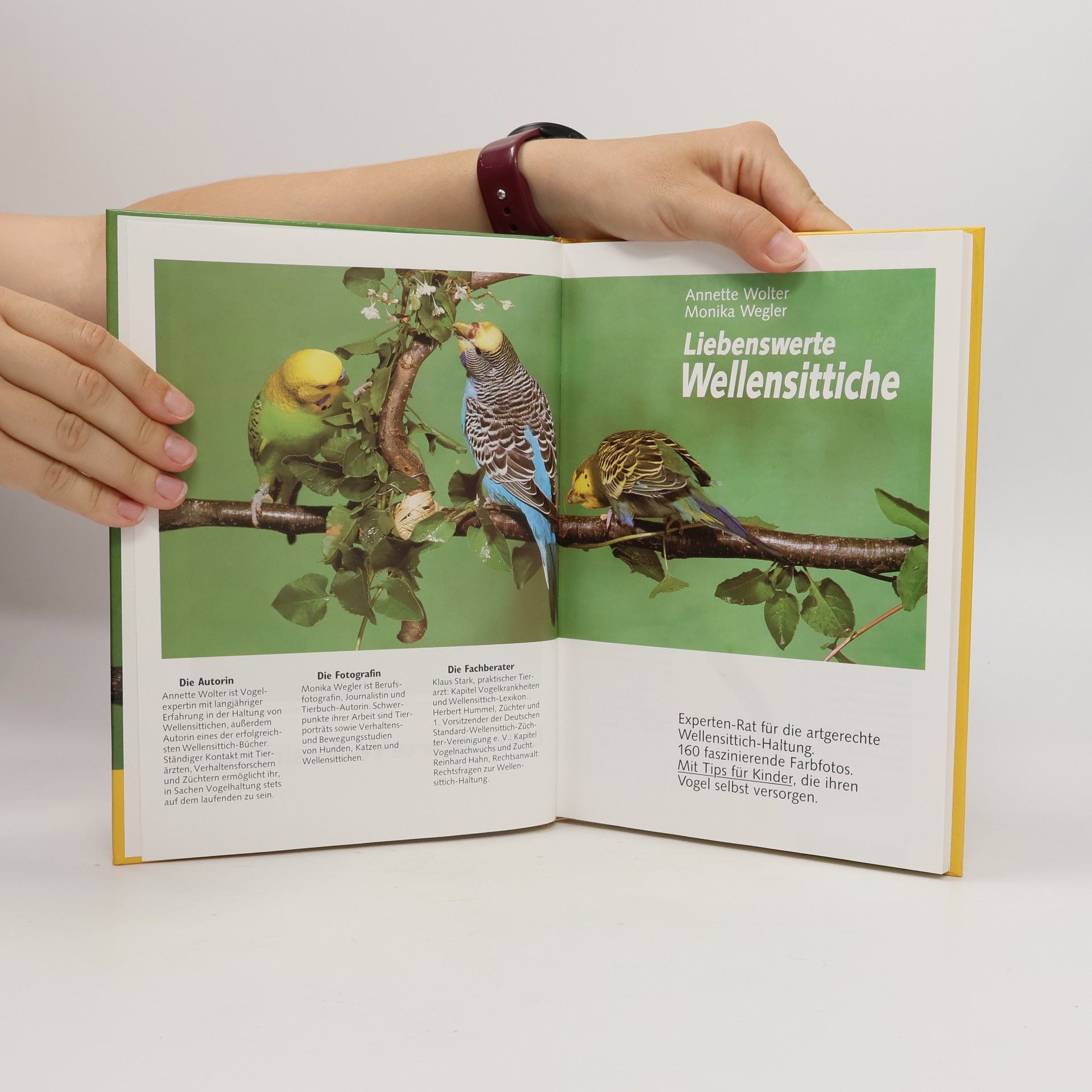 Annette Wolter Liebenswerte Wellensittiche
