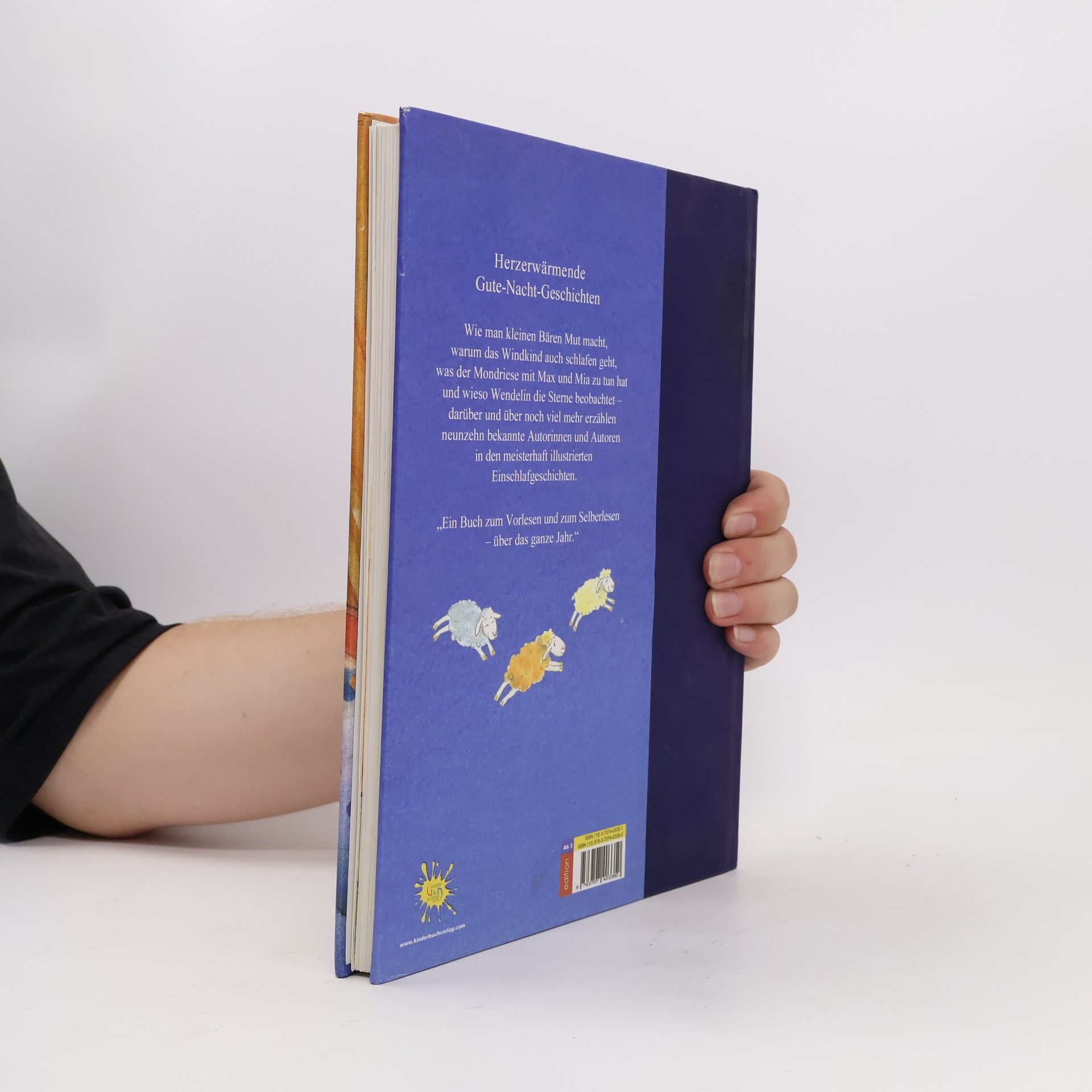 Regine Altegoer Das Sternenbuch