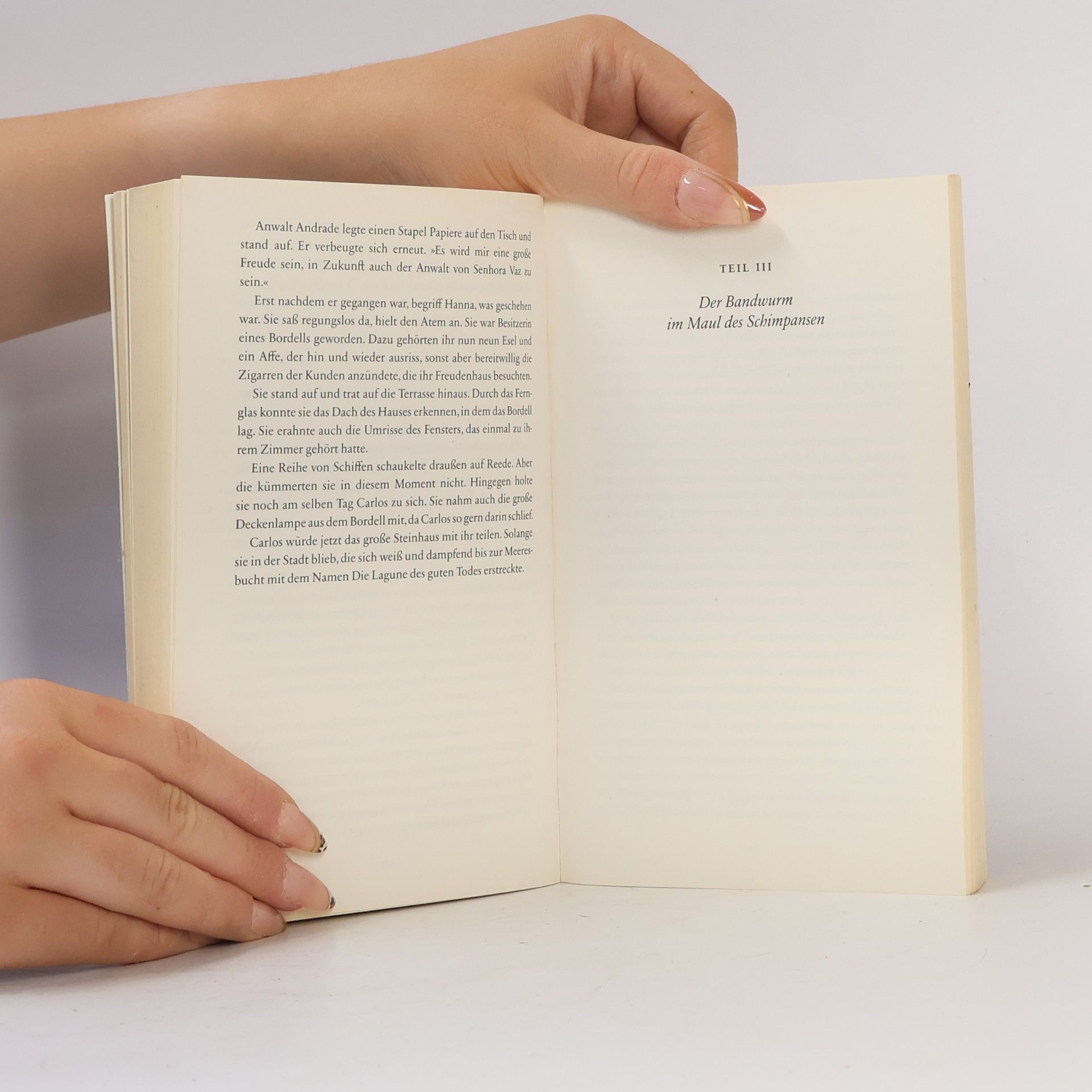 Henning Mankell Erinnerung an einen schmutzigen Engel