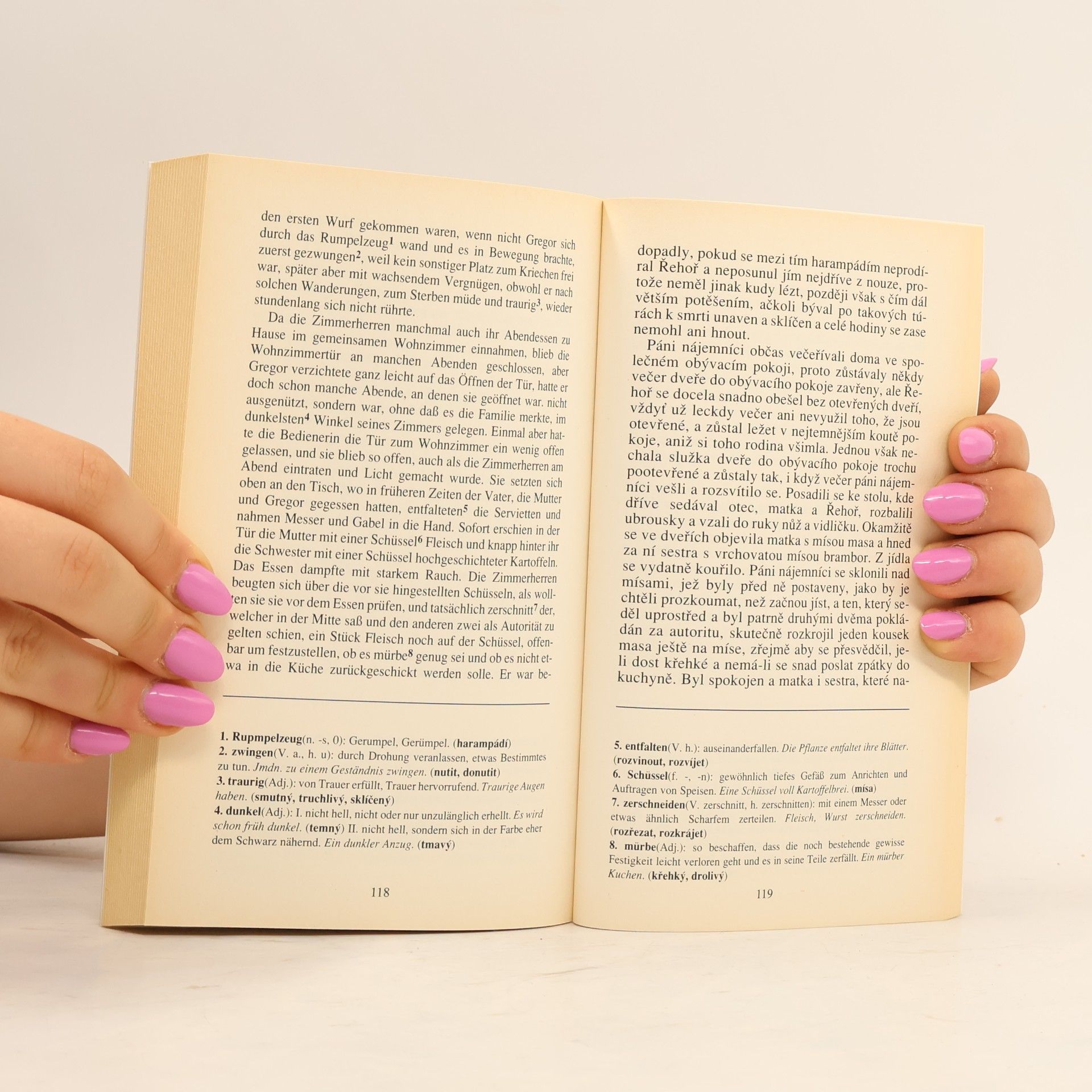 Franz Kafka Proměna. Die Verwandlung.