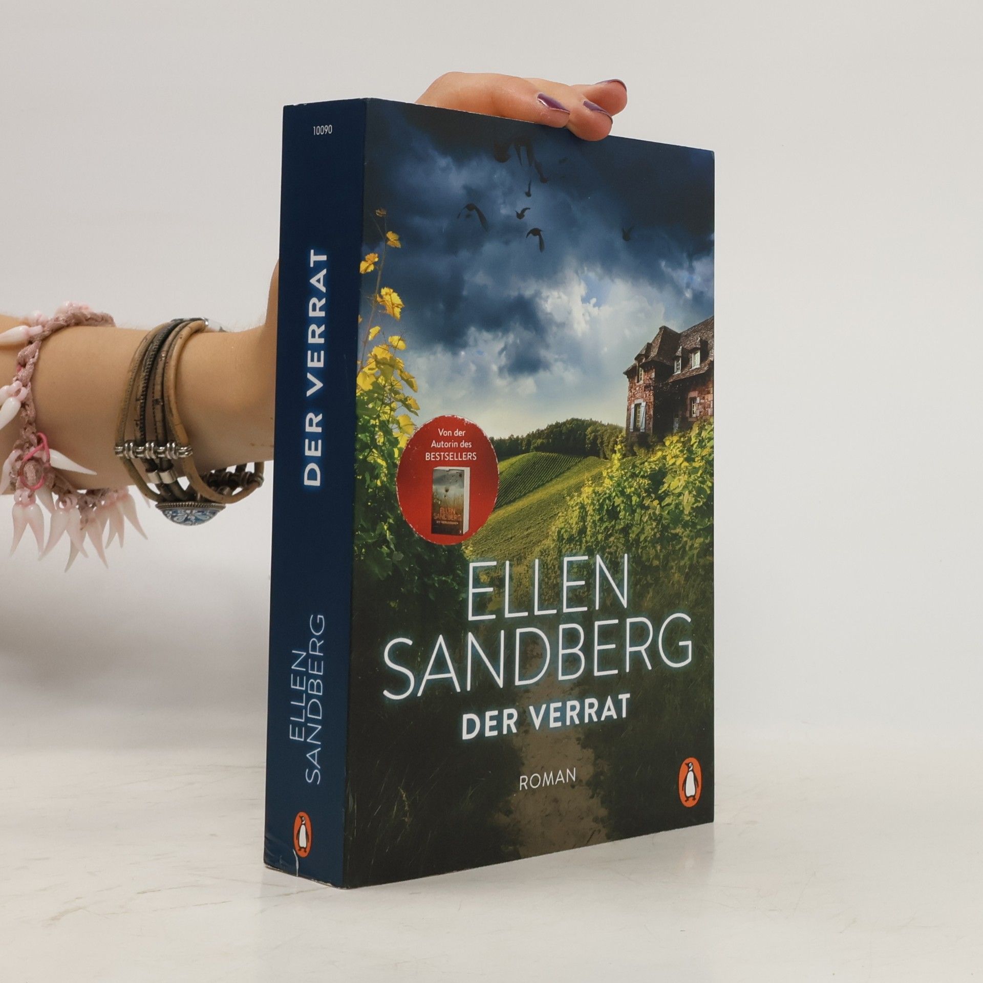 Ellen Sandberg Der Verrat