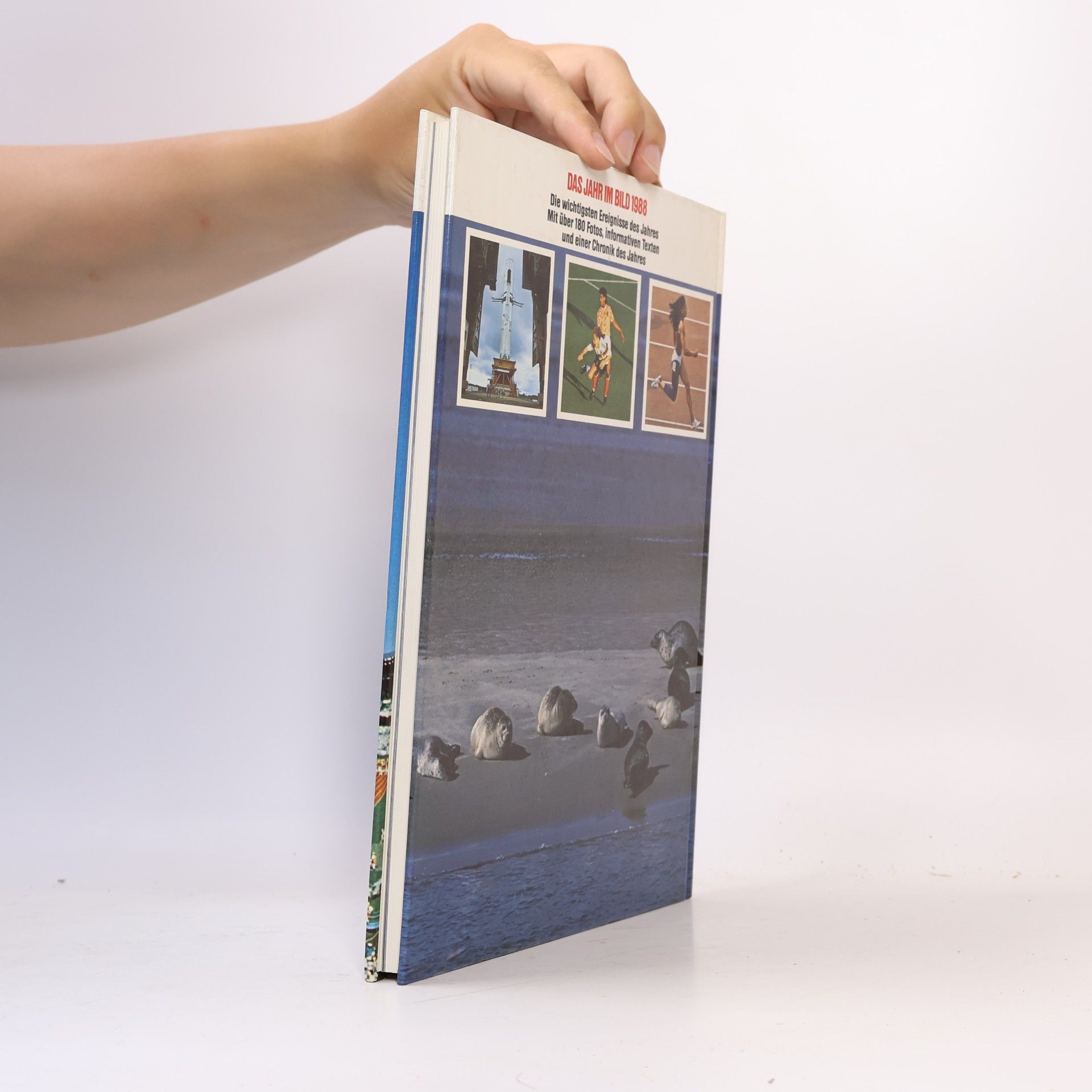 Autorenkollektiv Das Jahr im Bild 1988