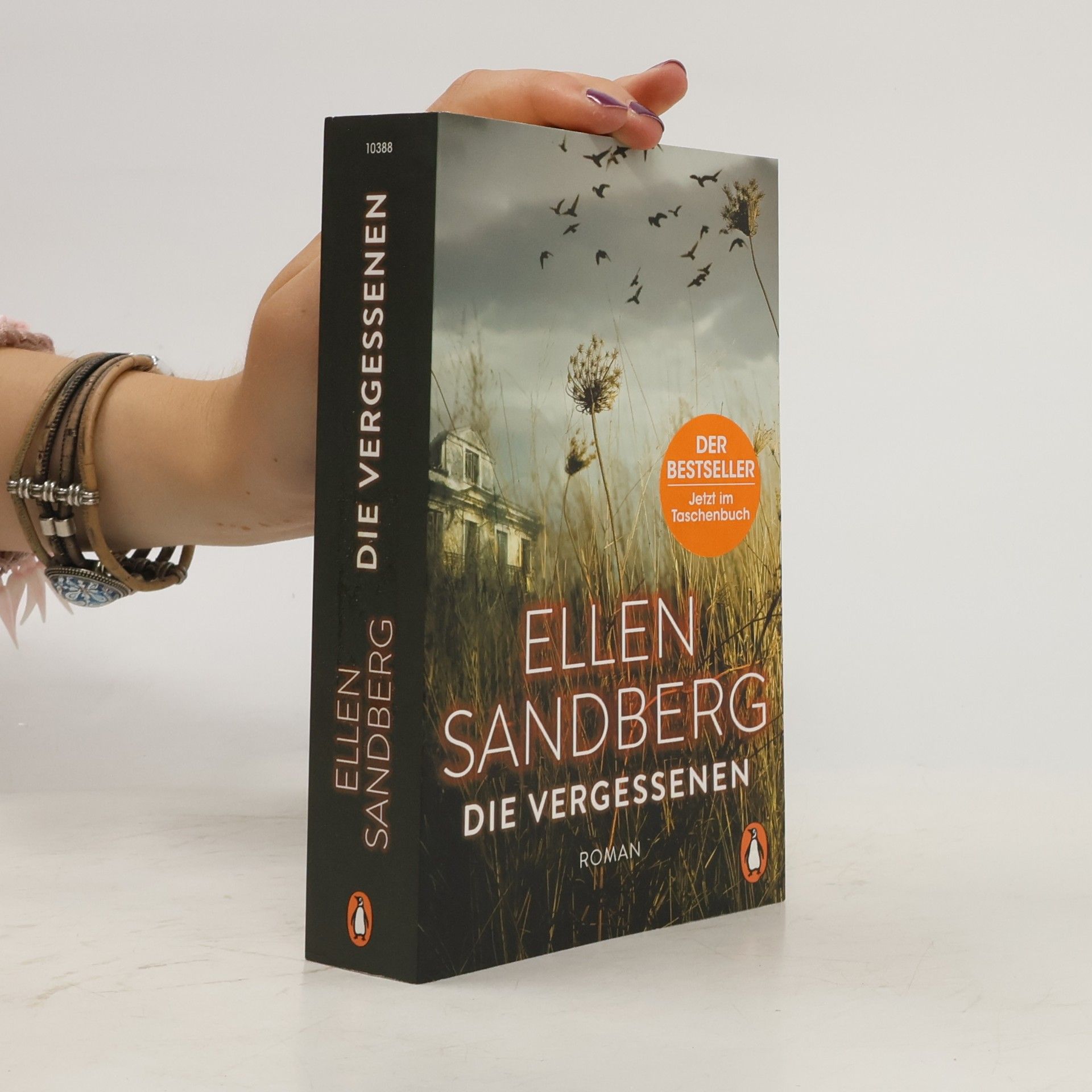 Ellen Sandberg Die Vergessenen