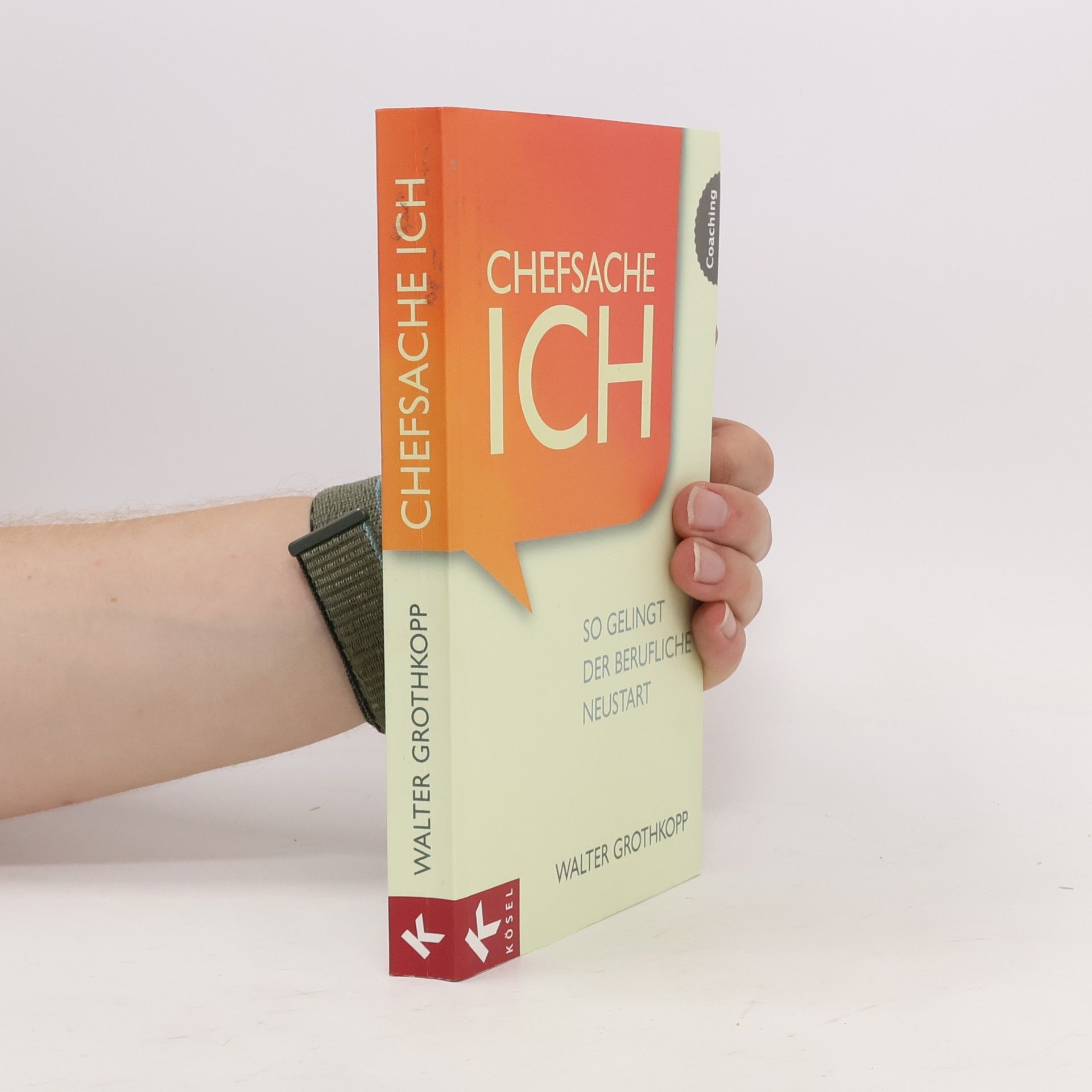 Walter Grothkopp Chefsache Ich