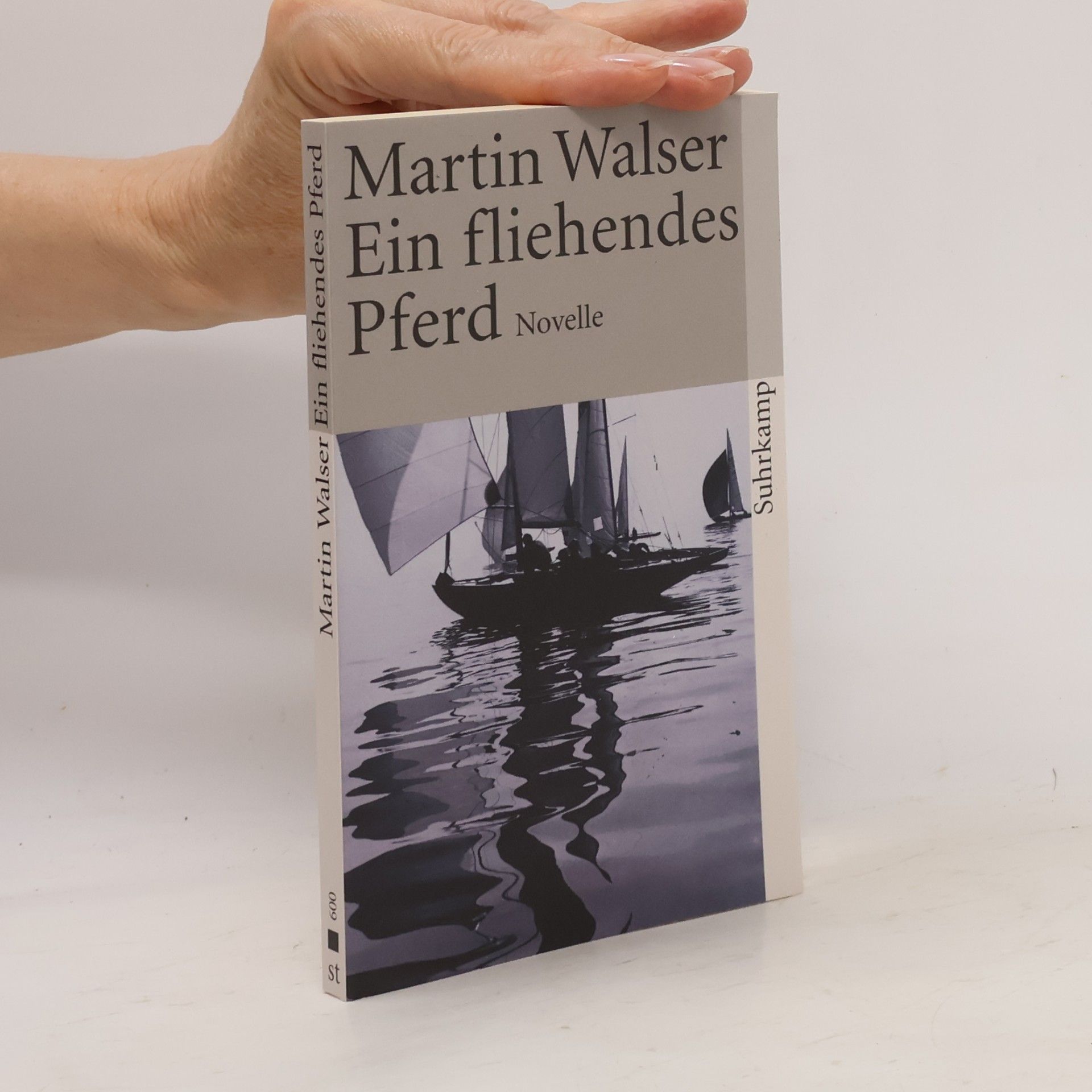 Martin Walser Ein fliehendes Pferd