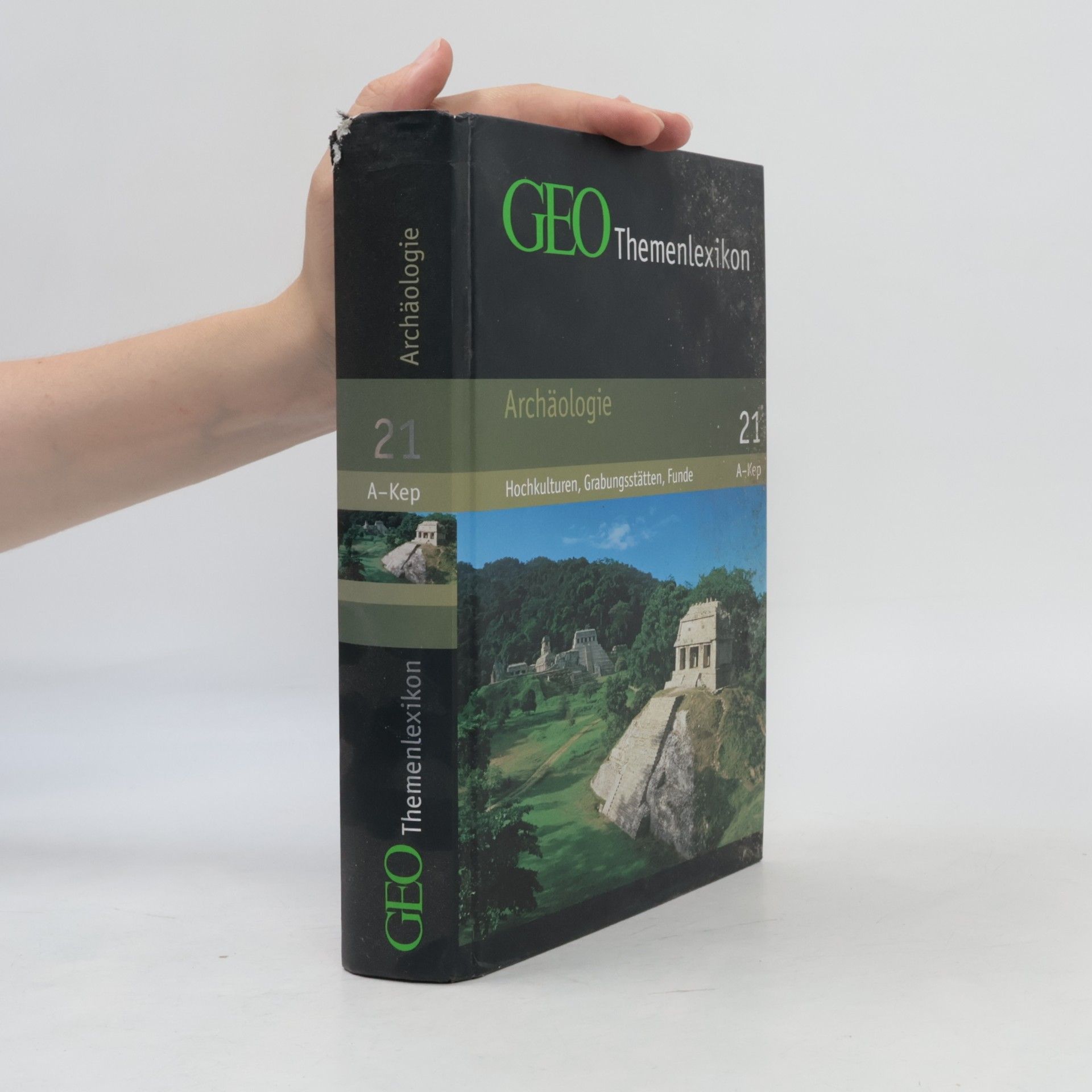 Peter Matthias Gaede GEO-Themenlexikon (Band 21): Archäologie