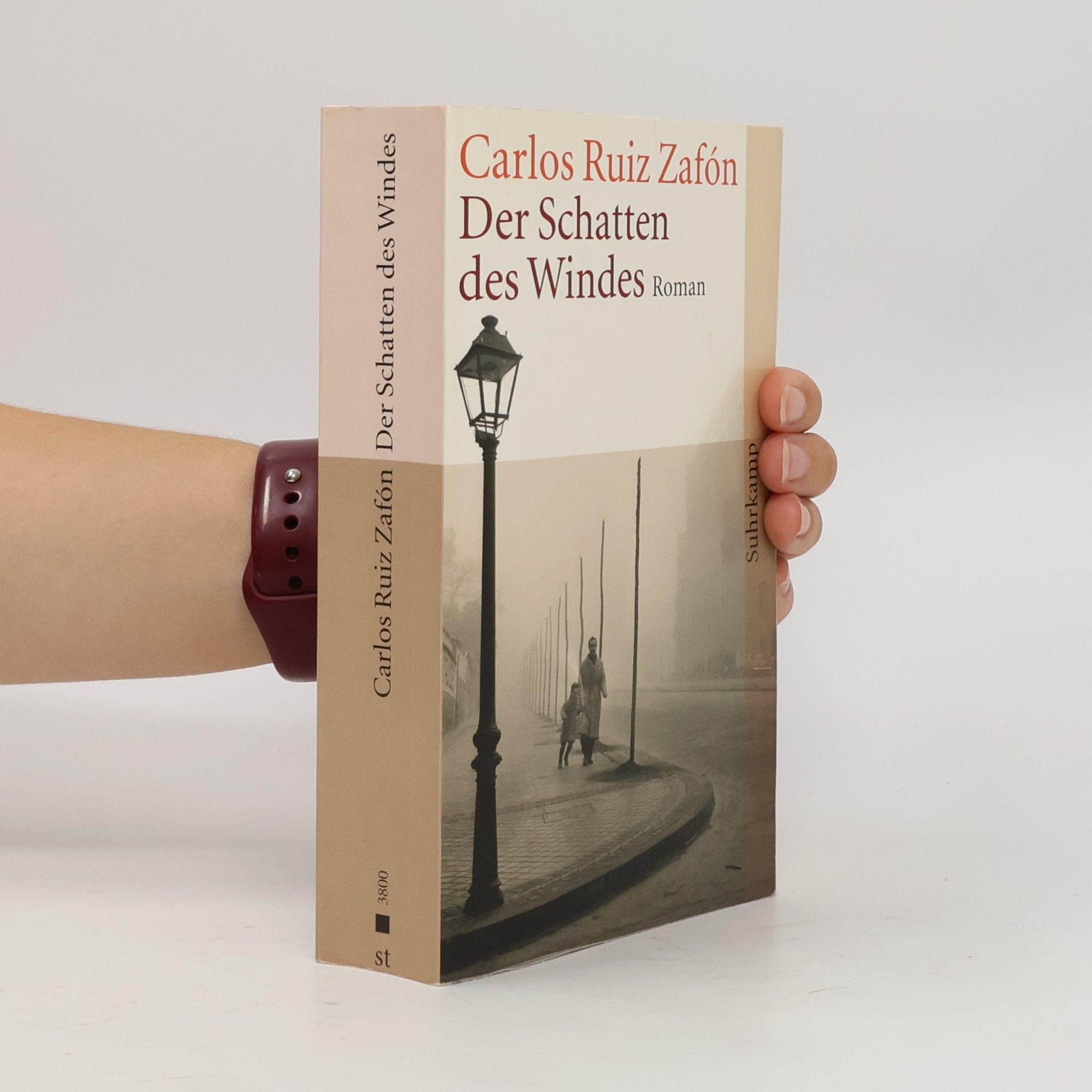 Carlos Ruiz Zafón Der Schatten des Windes